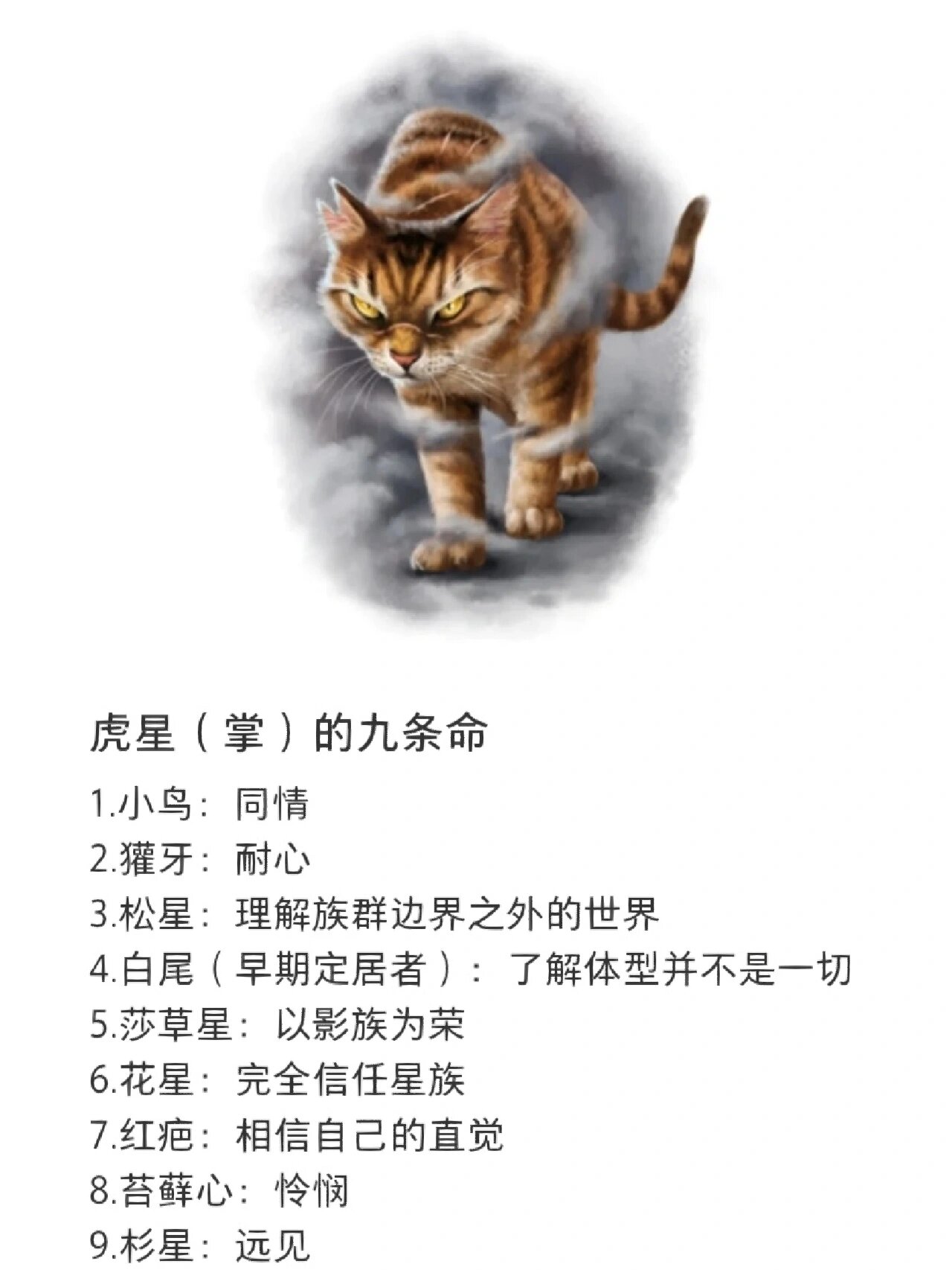 九命猫王在哪，九命猫哪里多跑跑车网