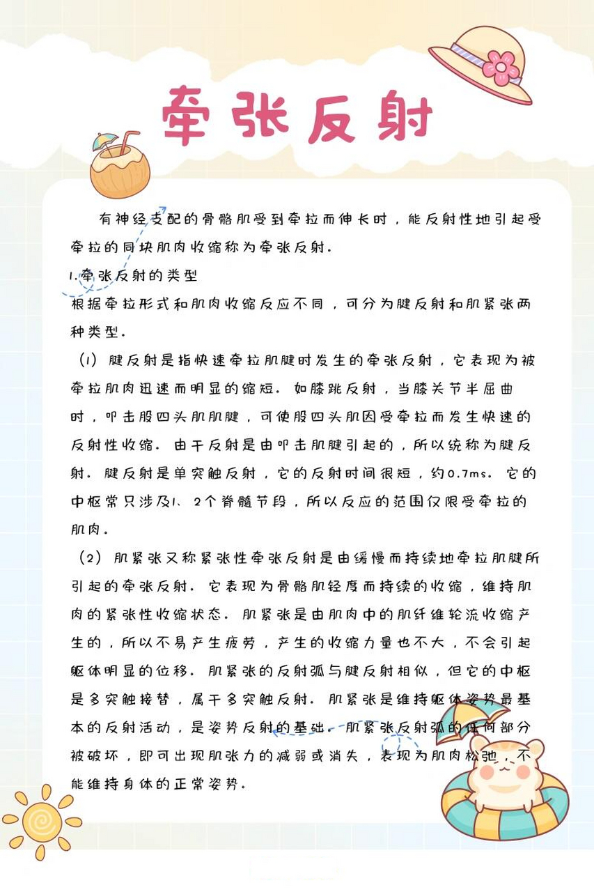 牵张反射图片