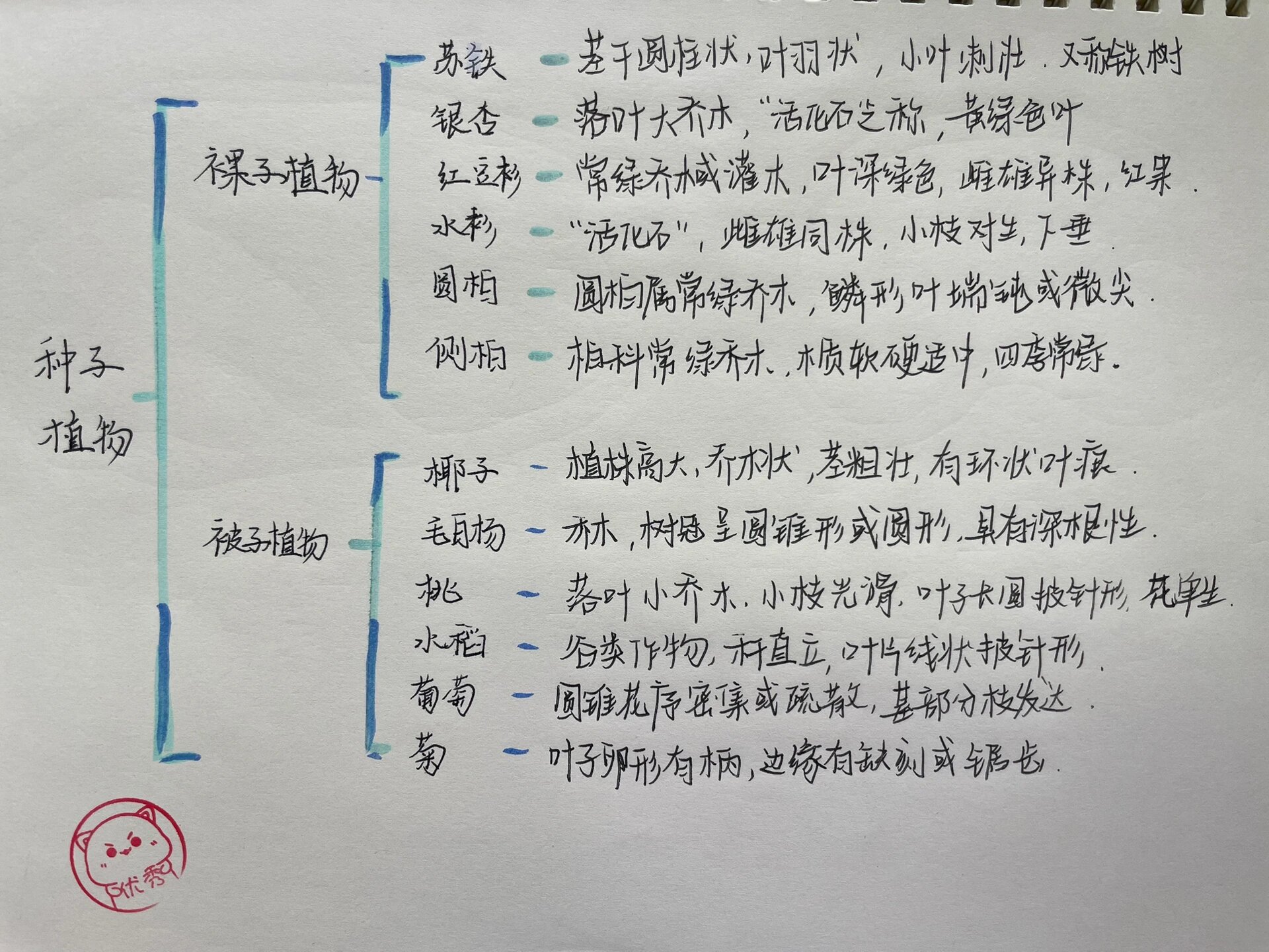 种子的思维导图怎么画图片