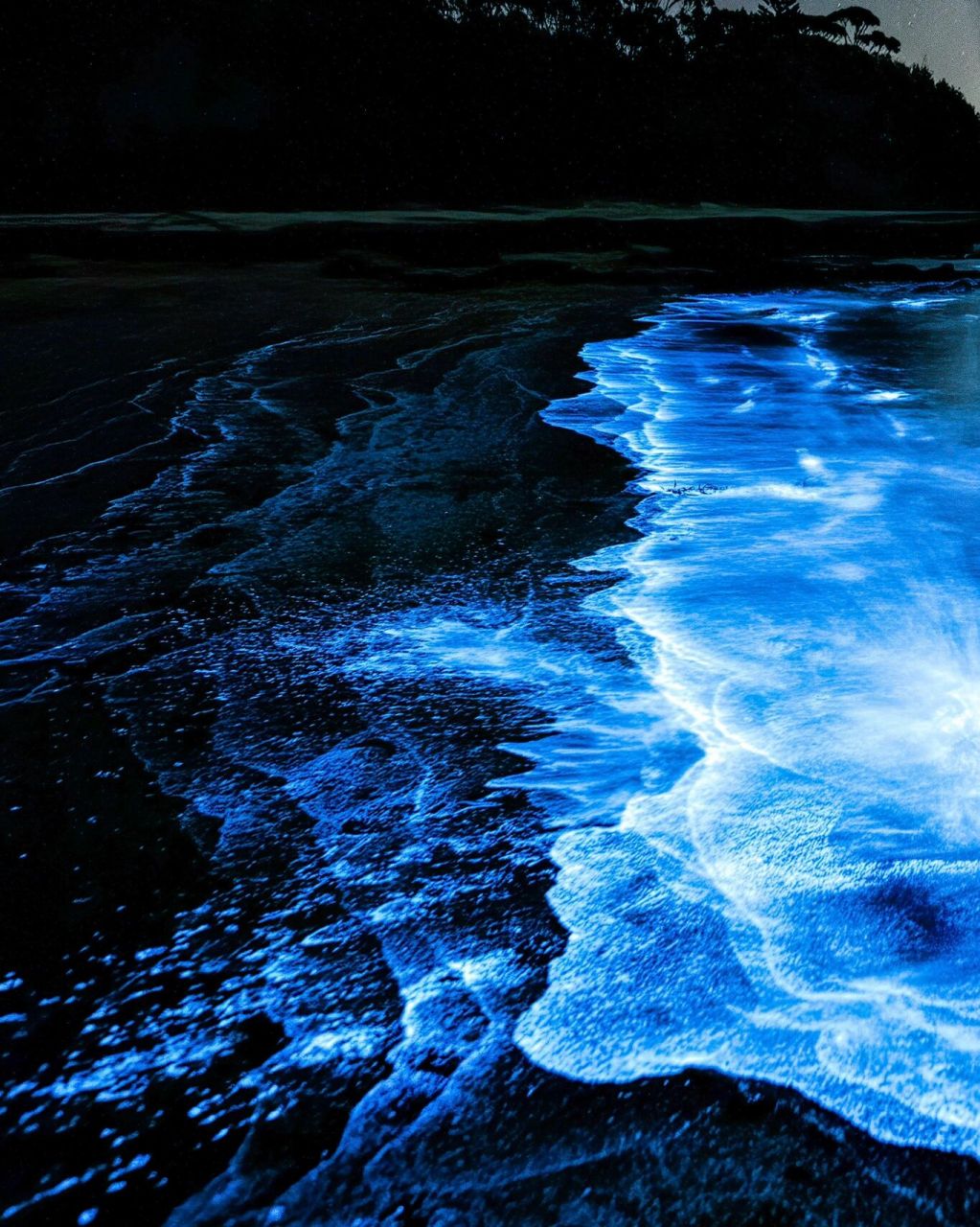 美cry75澳洲荧光海,宛如流动的银河90 如果看过