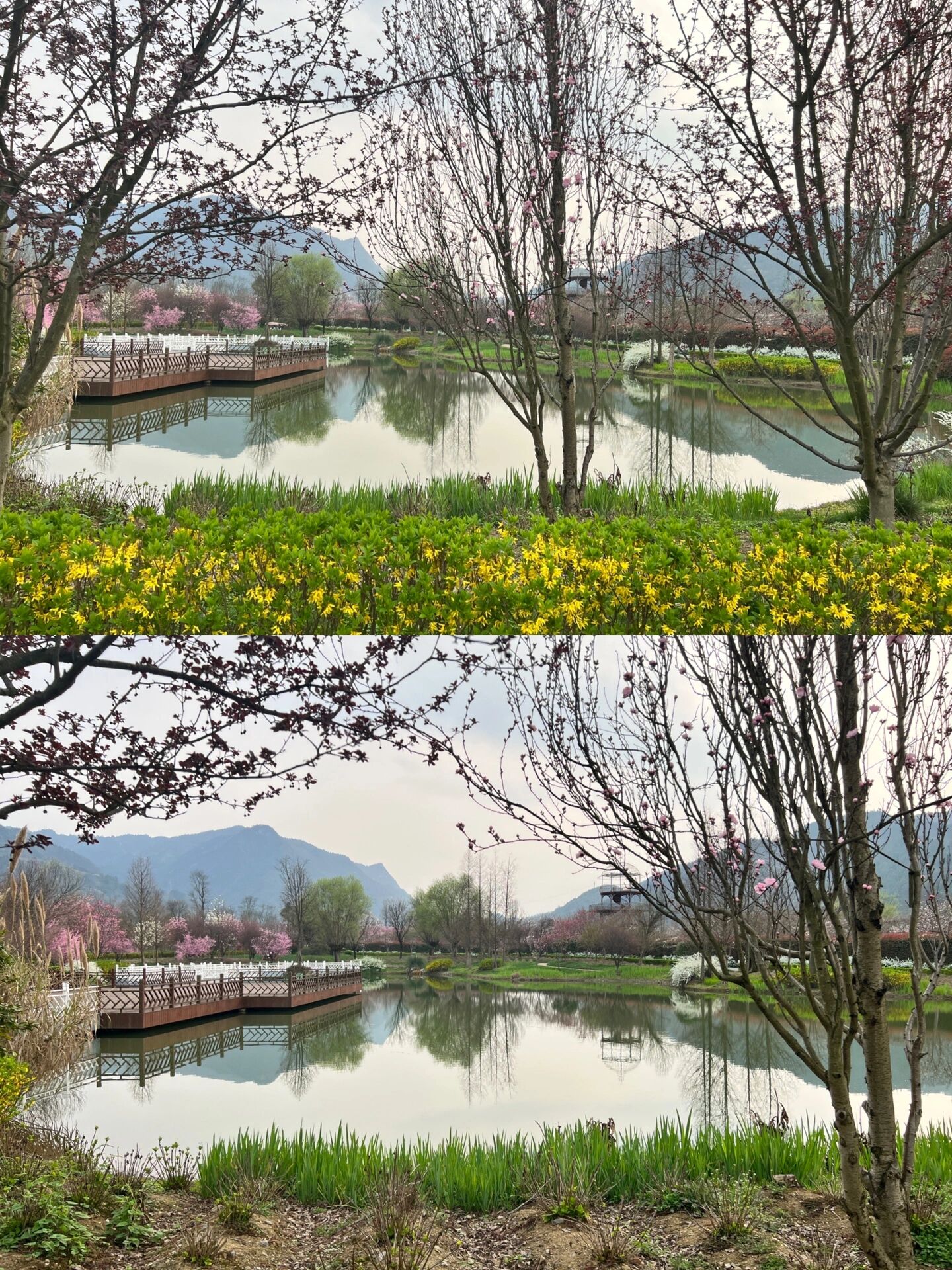 湄潭县水湄花谷景观图片