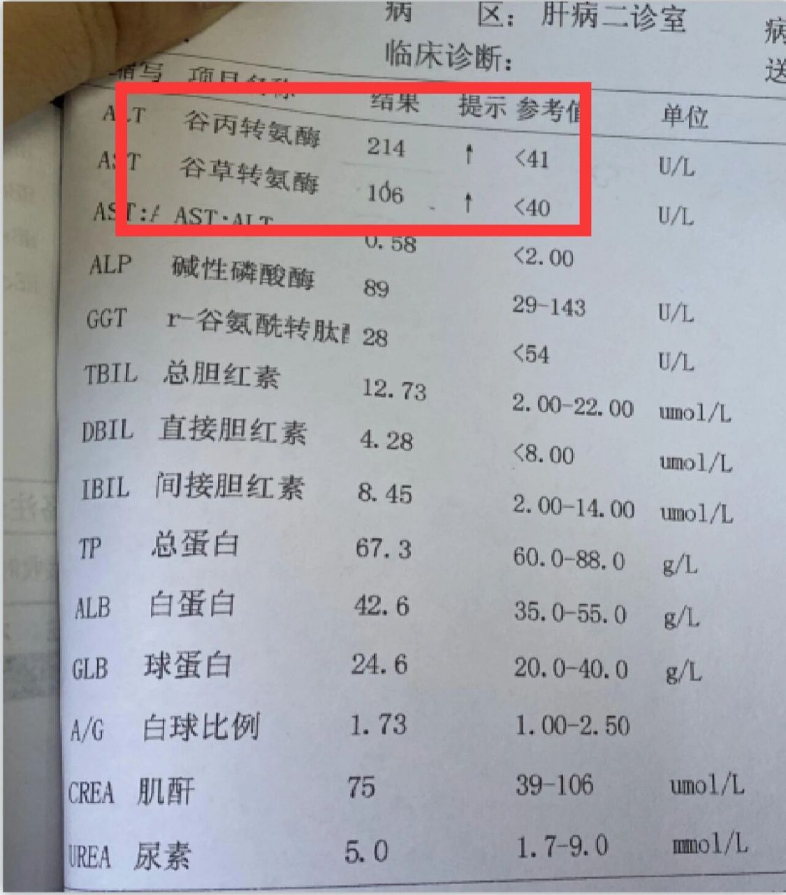乙肝肝硬化患者,转氨酶200 ,只吃的保肝药,这可是个大误区,治标不治本