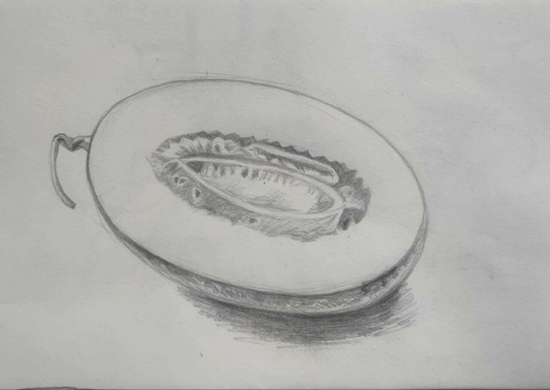 素描哈密瓜
