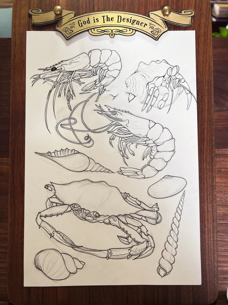 海鲜集合 作为练习参考,素材来自 打算练一阵钢笔画了, 练手感,手绘不