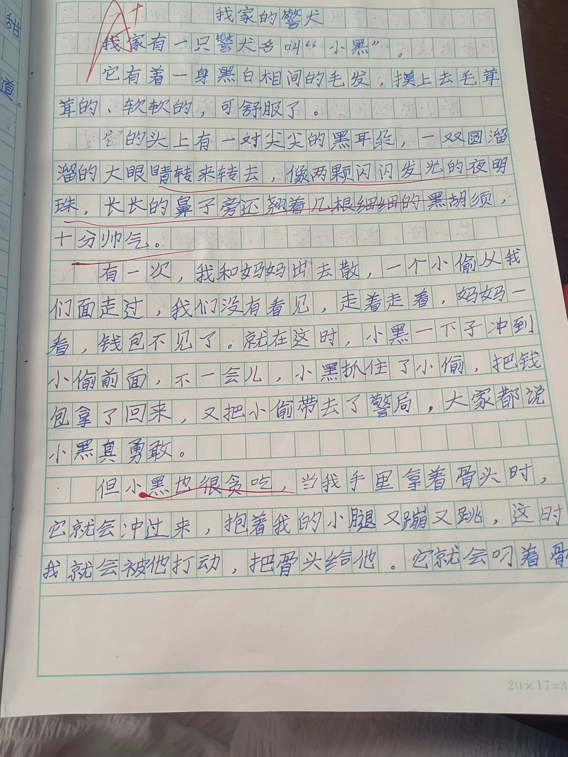 观察日记300字三年级下册(观察日记三年级300优秀作文)
