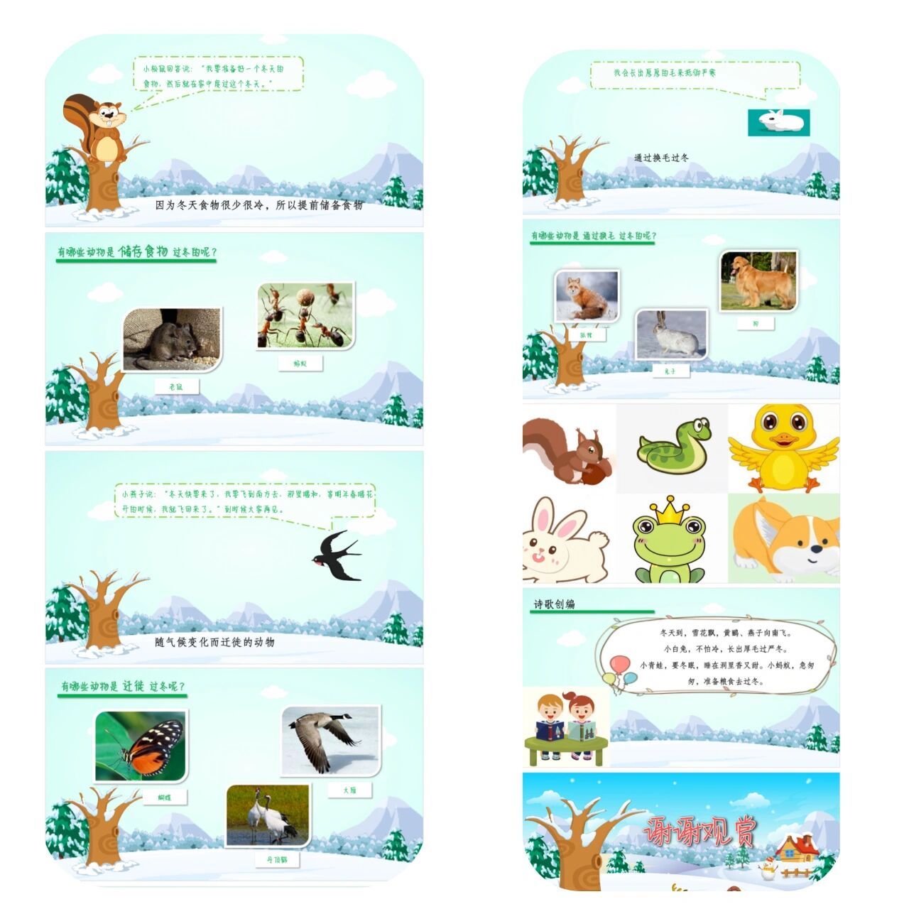 《小动物怎样过冬》97完整ppt 教案 幼师姐妹必备的一节课《小动物