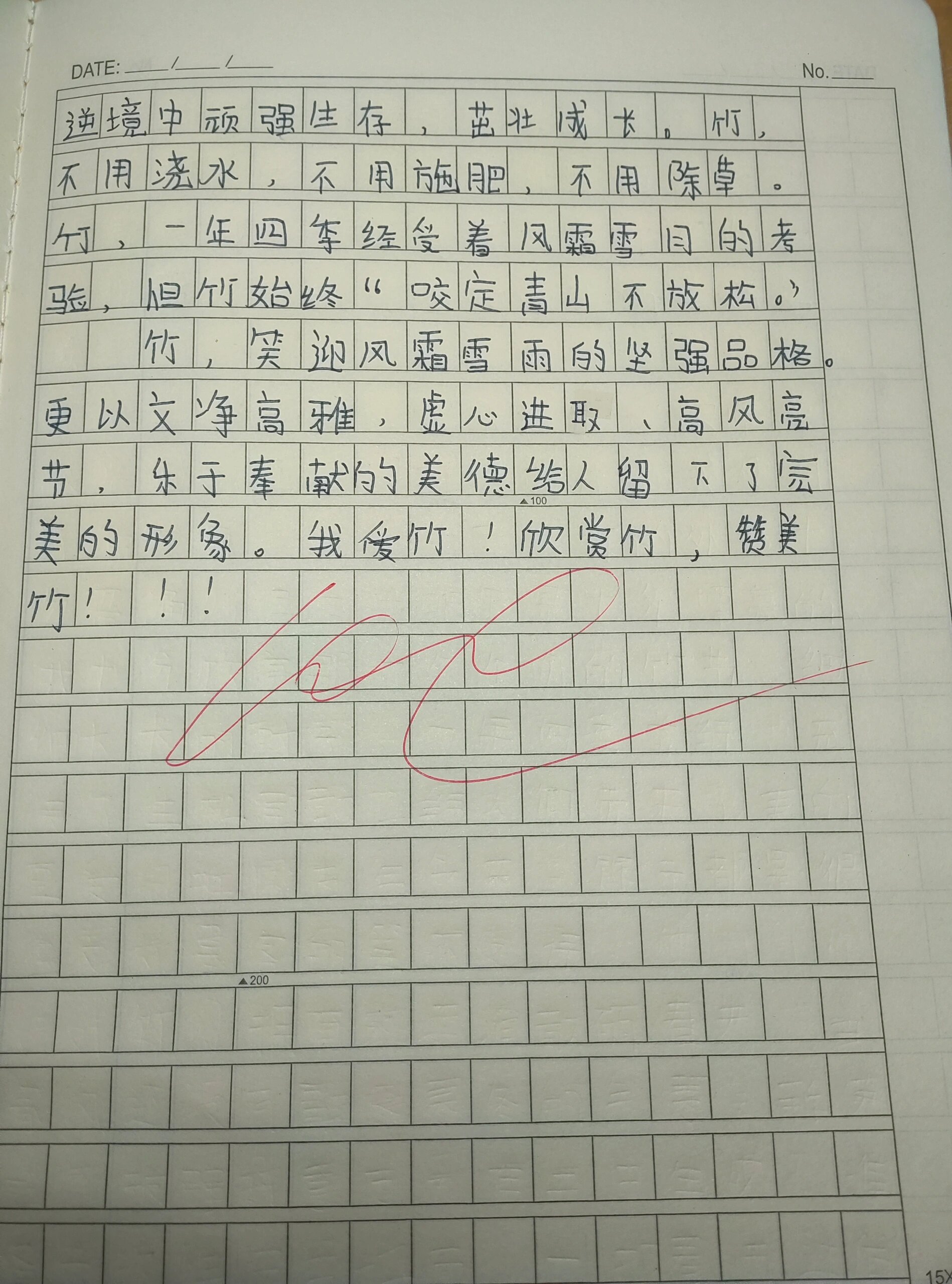 《竹子》作文