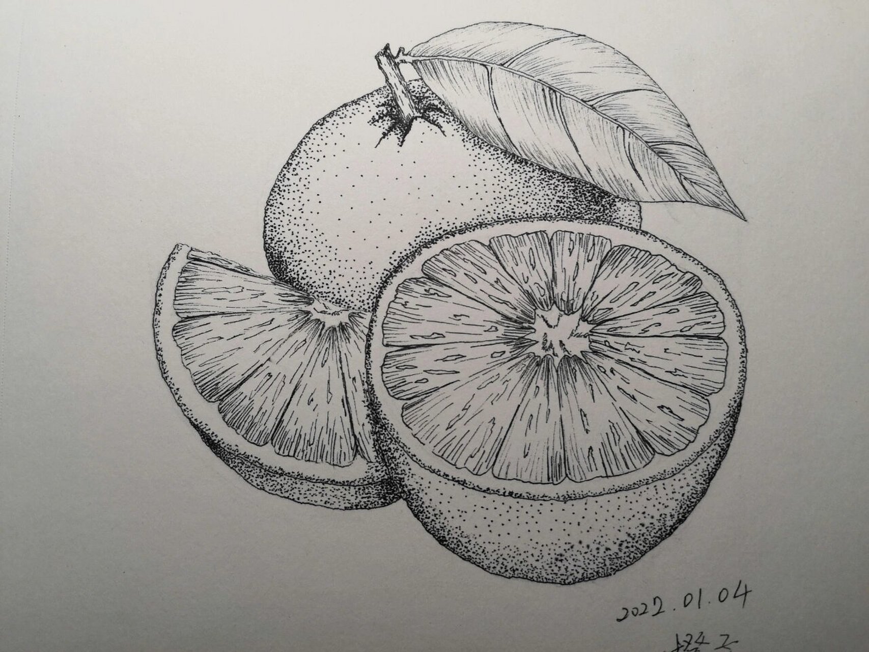 速写橙子20220104