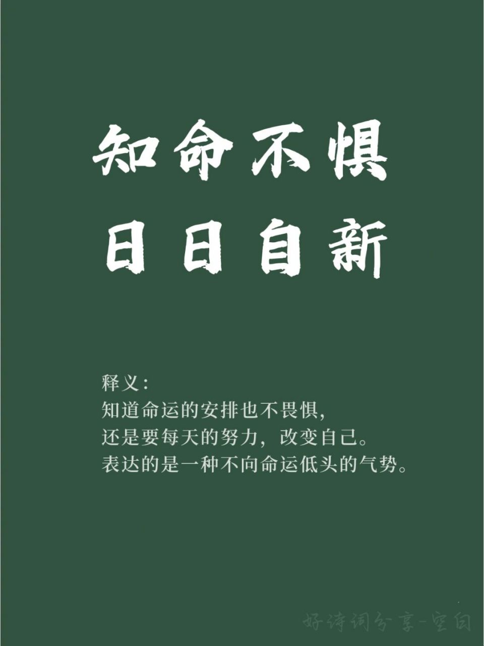 91每日共勉/知命不惧 日日自新!