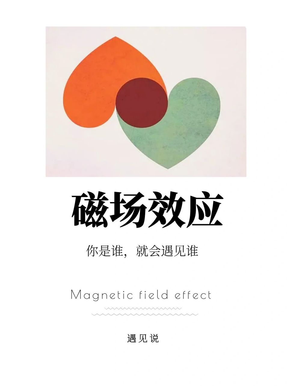 【遇见说】磁场效应 你是谁,就会遇见谁!