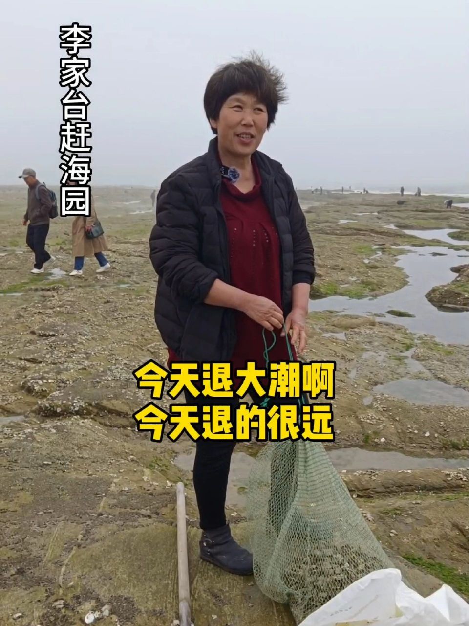 日照李家台赶海园免费开放 海水每天退潮两次,可以赶海两次,从咱家