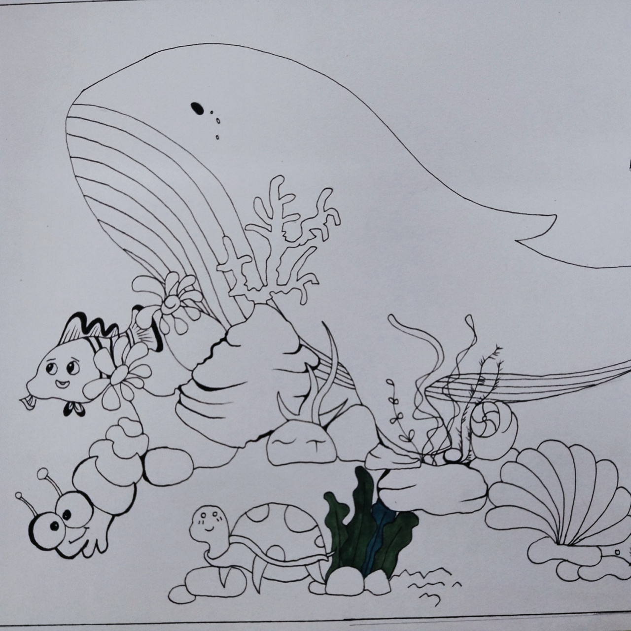 海底世界简笔画 题目要求是要有小丑鱼,鲸鱼,鲨鱼,乌龟