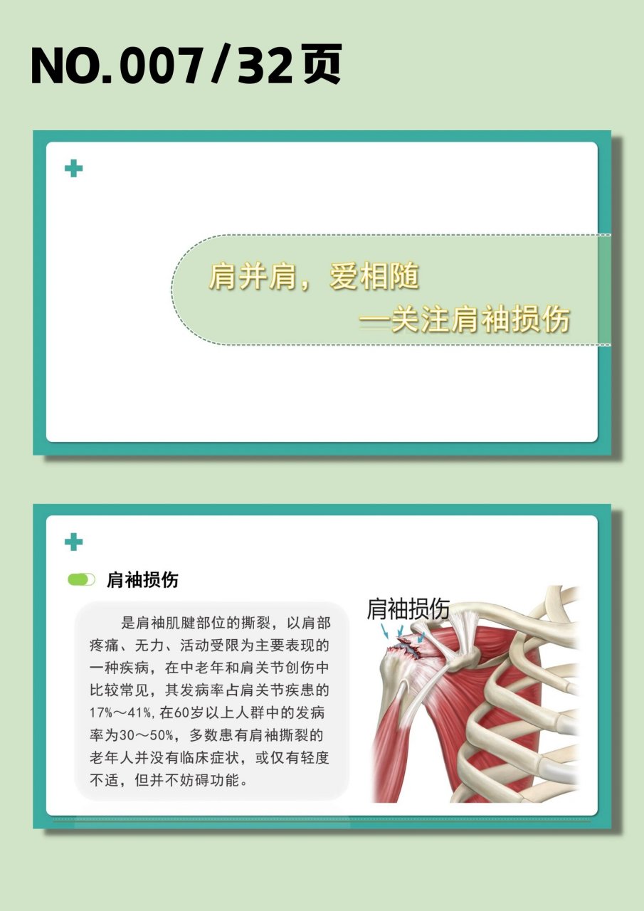 肩袖损伤康复图解图片