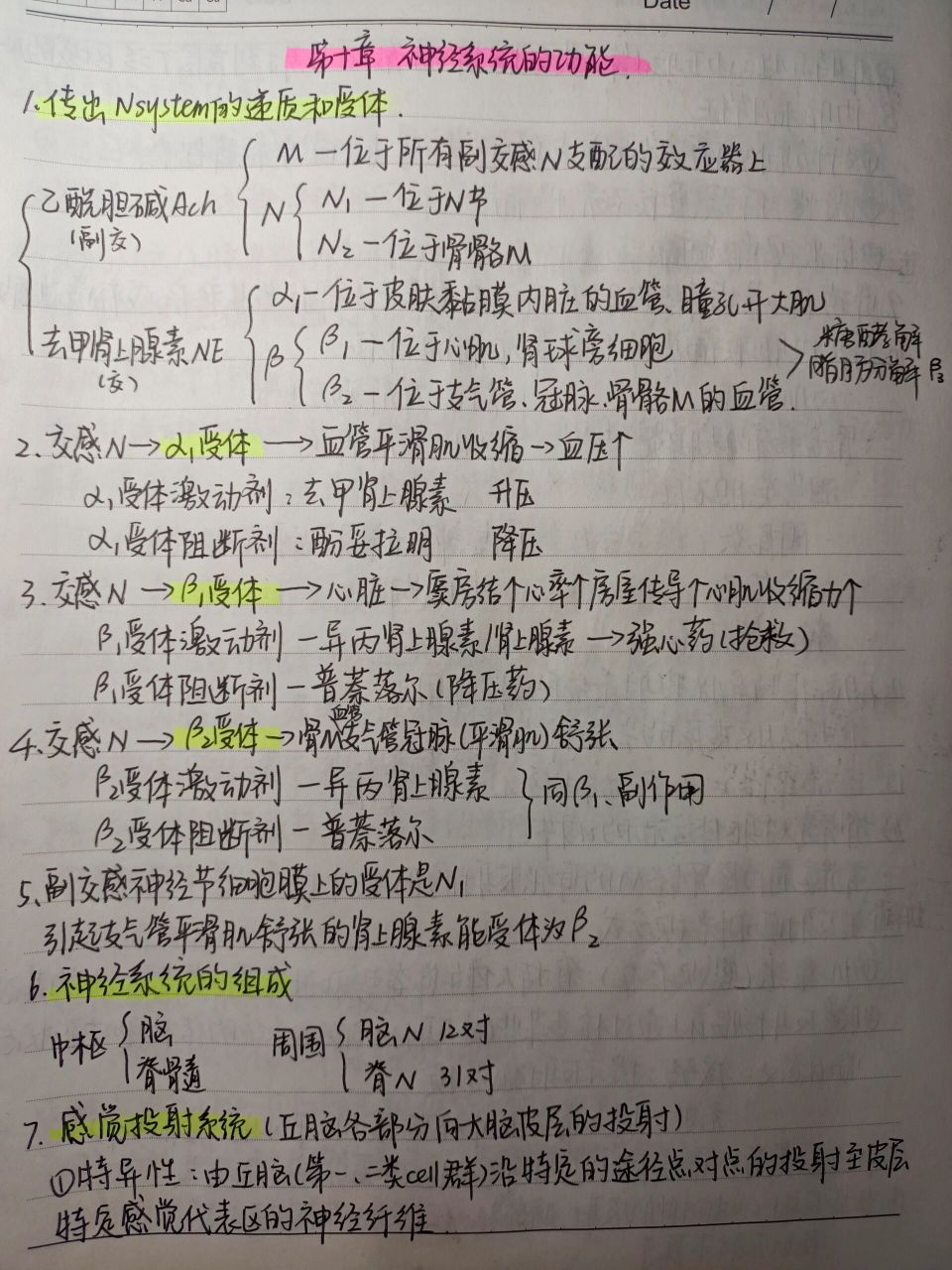 生理学97第十章神经系统手写笔记
