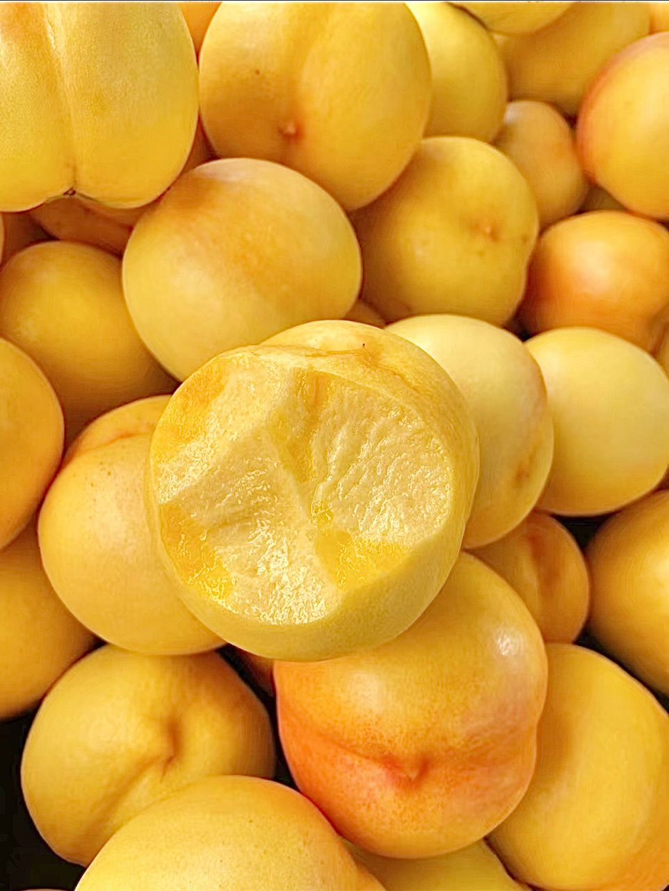 真心推荐给甜桃党【黄油桃】超甜,超好吃7515 图中最早成熟的黄