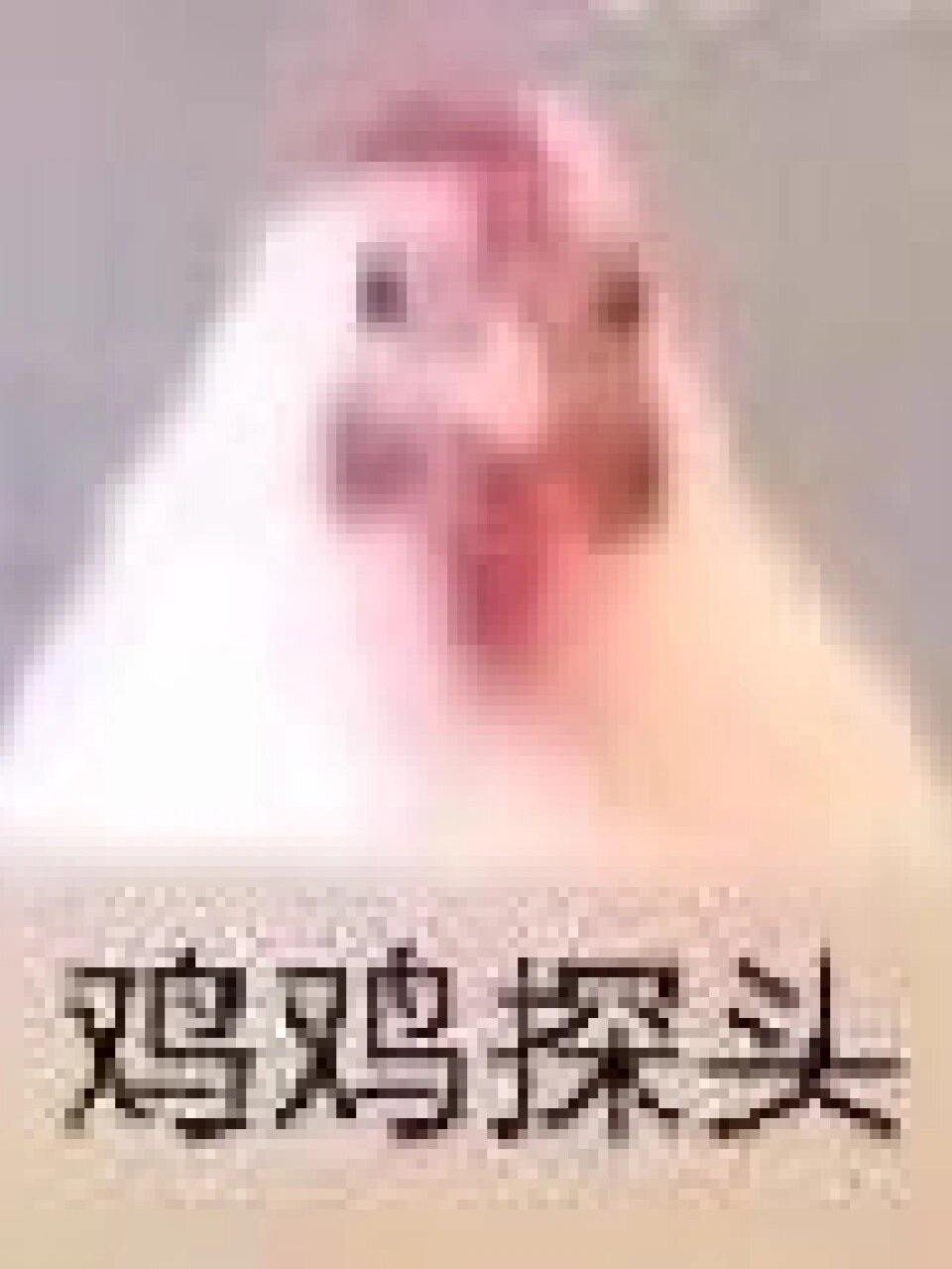 女朋友发了个鸡鸡探头问我吃不吃烤鸡