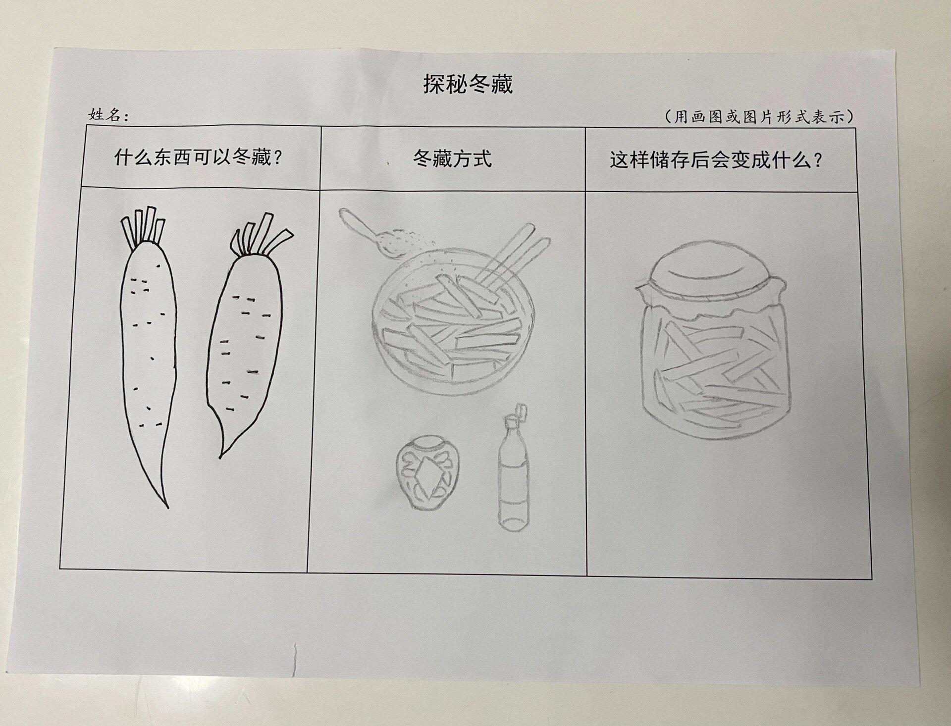 探秘冬藏 可以冬藏的食物 简笔画 幼儿园小班作业 萝卜的腌制制作过程
