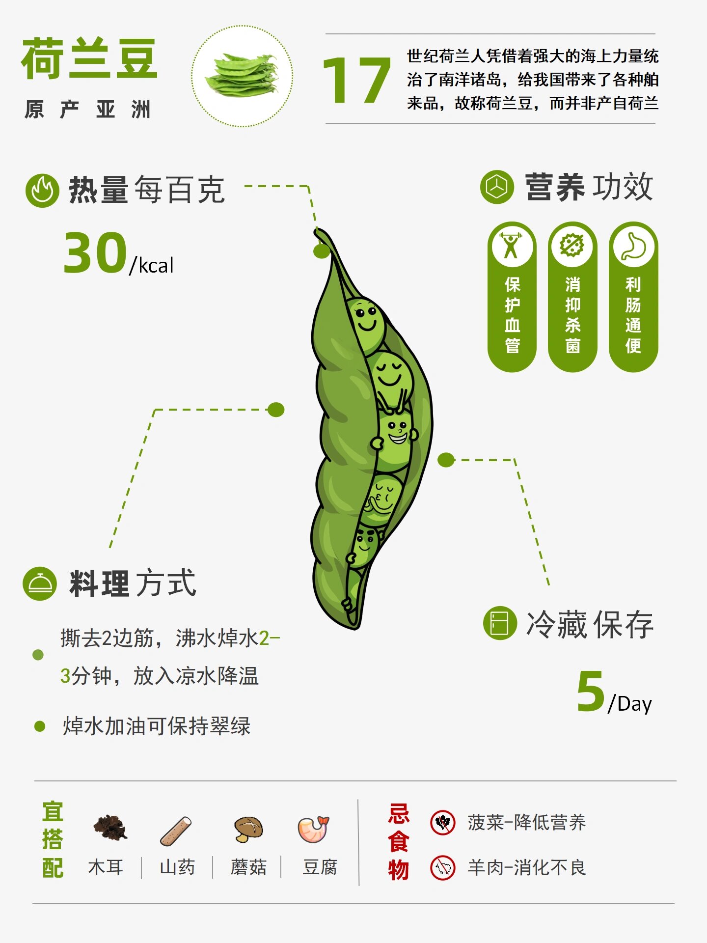 荷兰豆科普|荷兰豆来自于哪里