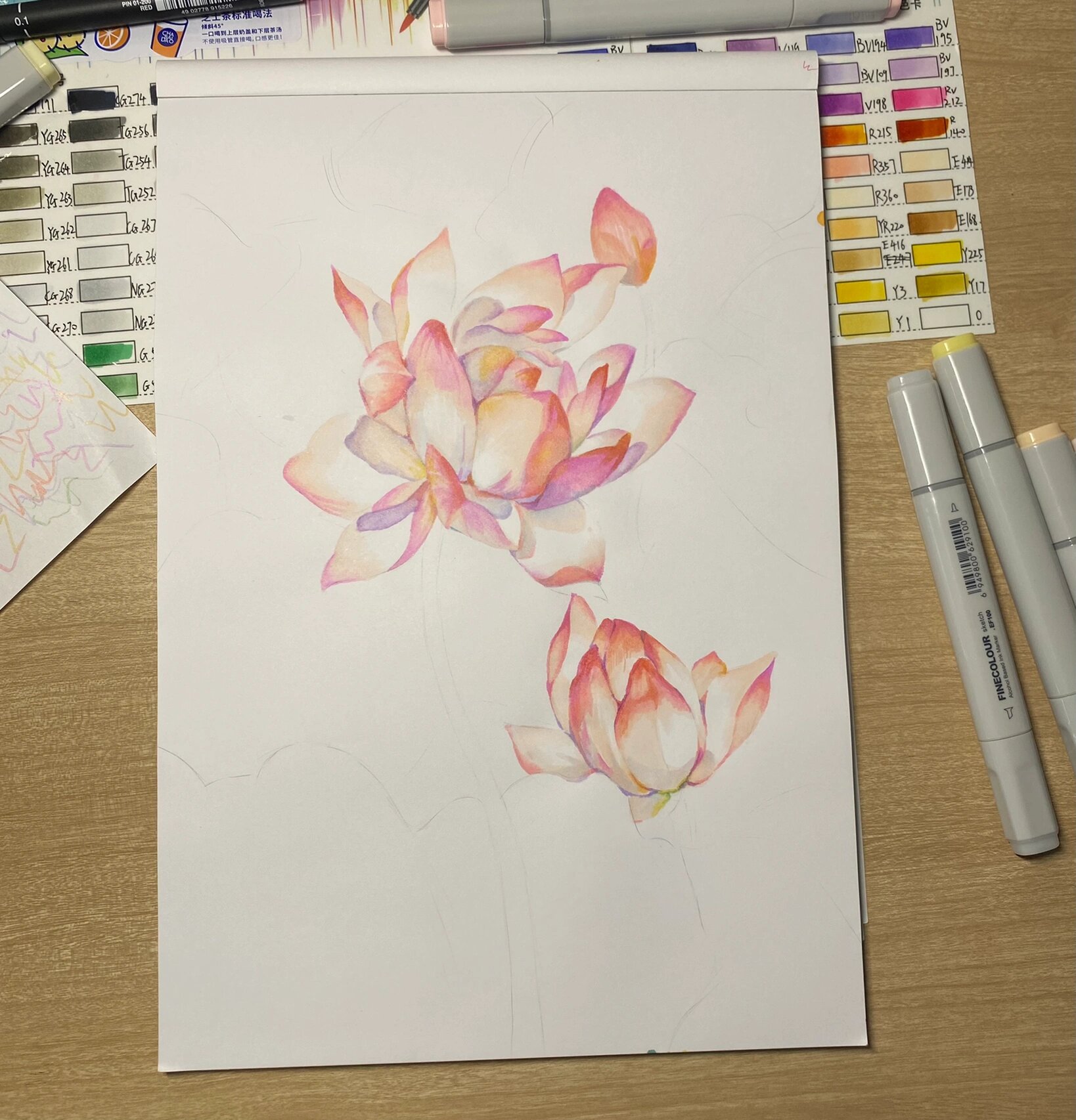 马克笔色彩临摹—荷花