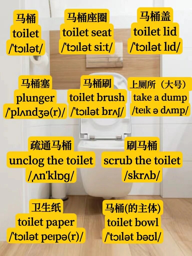 日常英语d87|关于马桶的这些单词怎么说?