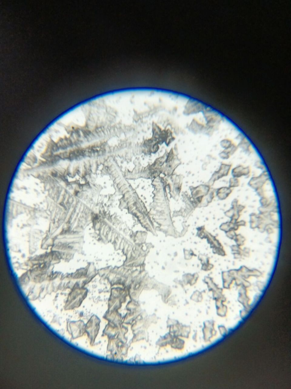 显微镜下的海水结晶 从海缸里吸点水,滴在照片上,涂匀,用酒精灯烤干.