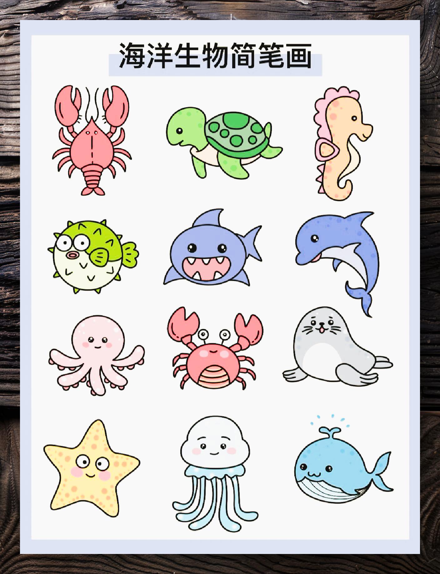 海洋生物简笔教程,速学速画,萌翻你的笔记本