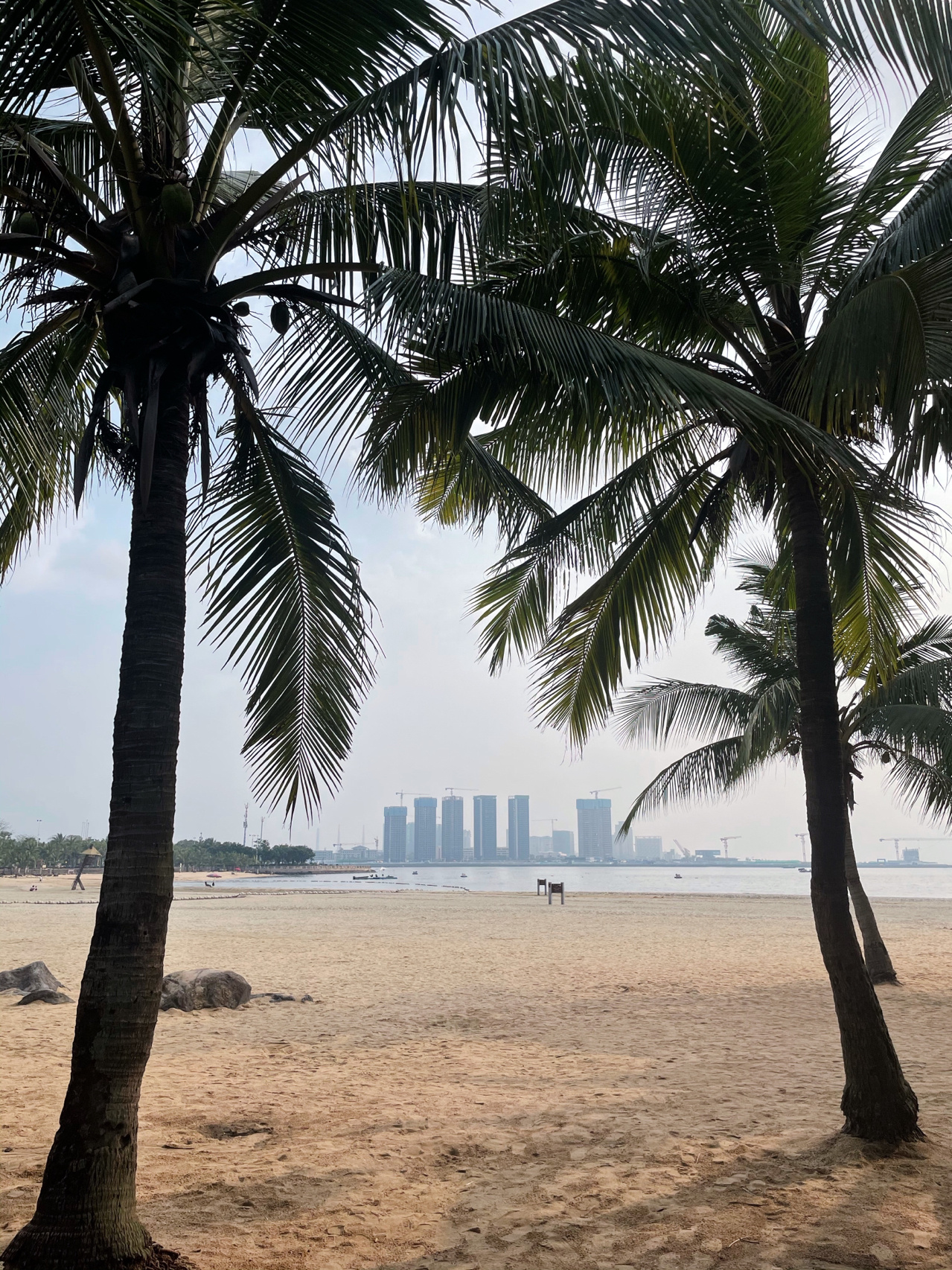 湛江离海边最近的酒店图片