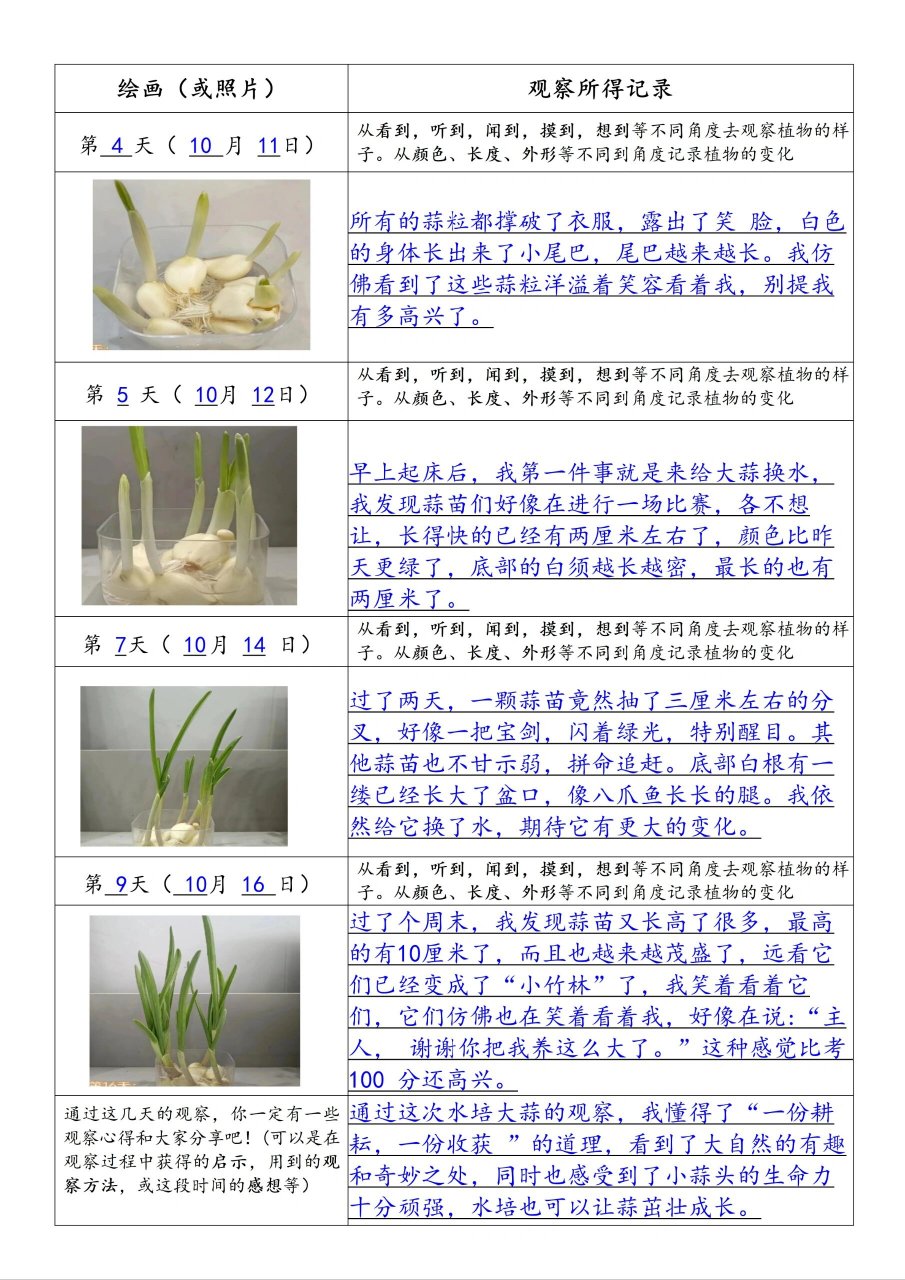 观察日记400字四年级植物种大蒜时间顺序(四年级学生观察日记种大蒜400字_观察日记)