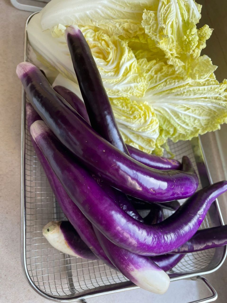 4月下地,不然今年疫情开始真买不到了,那就错过一季了.