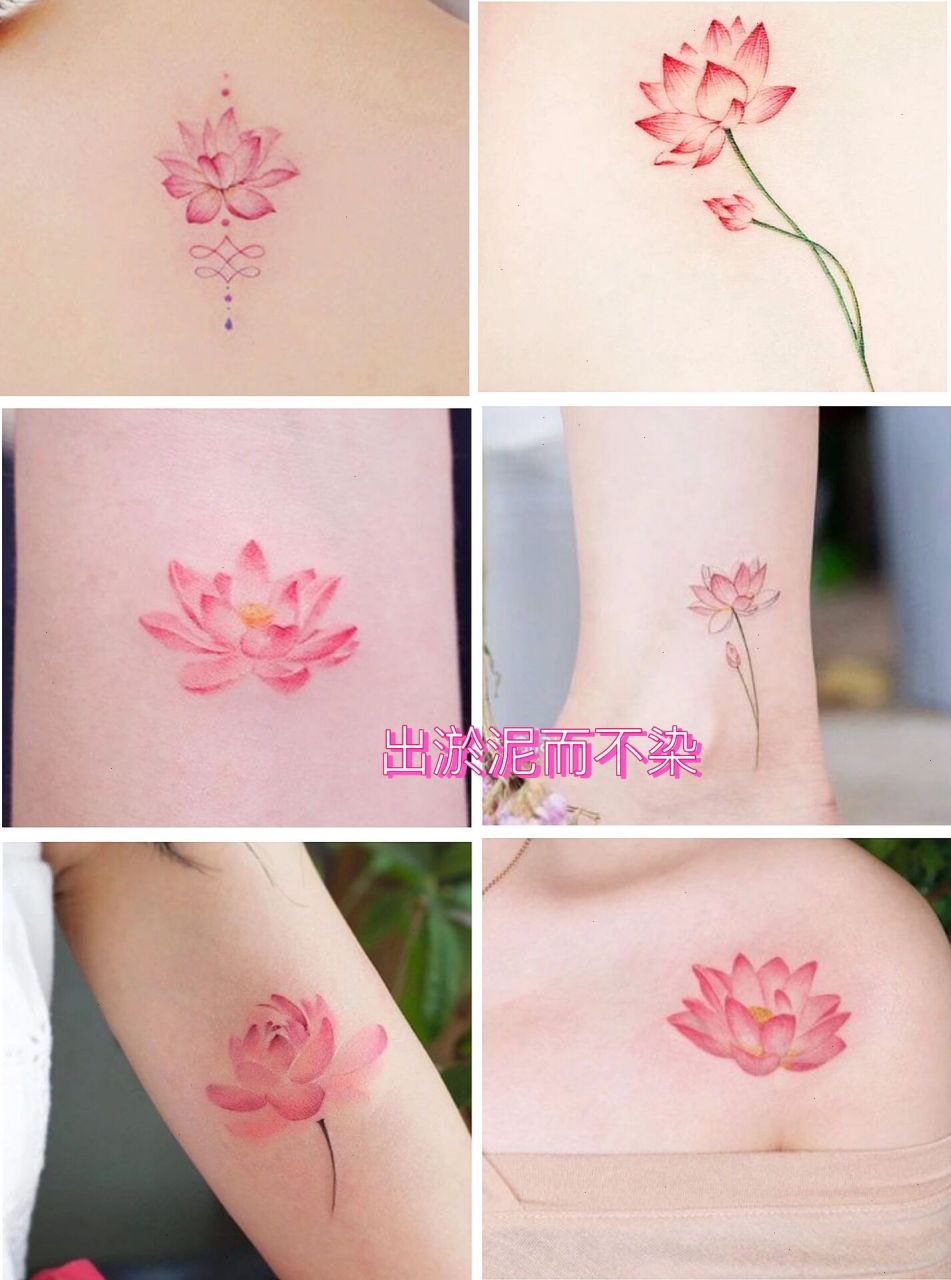 纹身莲花的寓意是什么图片