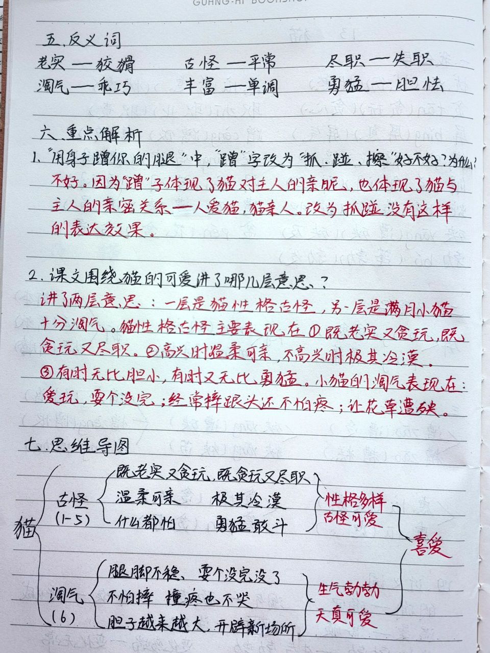 四年级下册语文笔记第13课《猫》 语文笔记,持续更新