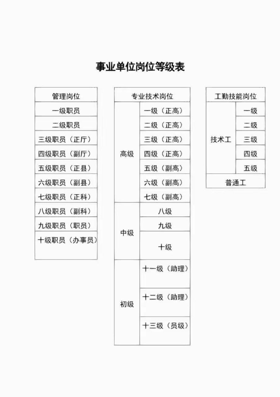 政府职位等级结构图图片