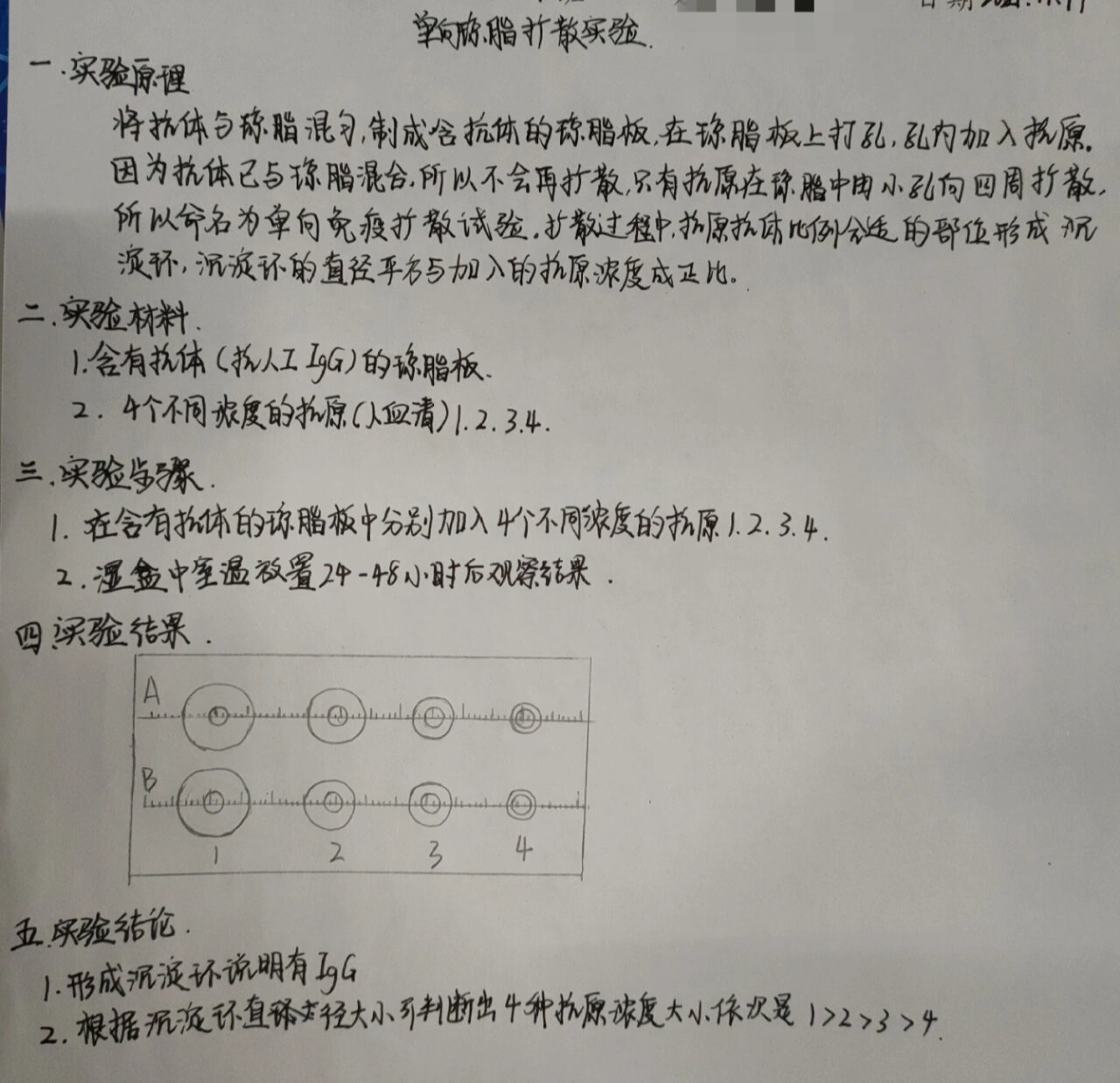 单向琼脂扩散试验图片