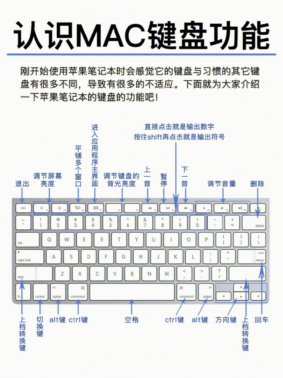 电脑键盘功能介绍图解图片