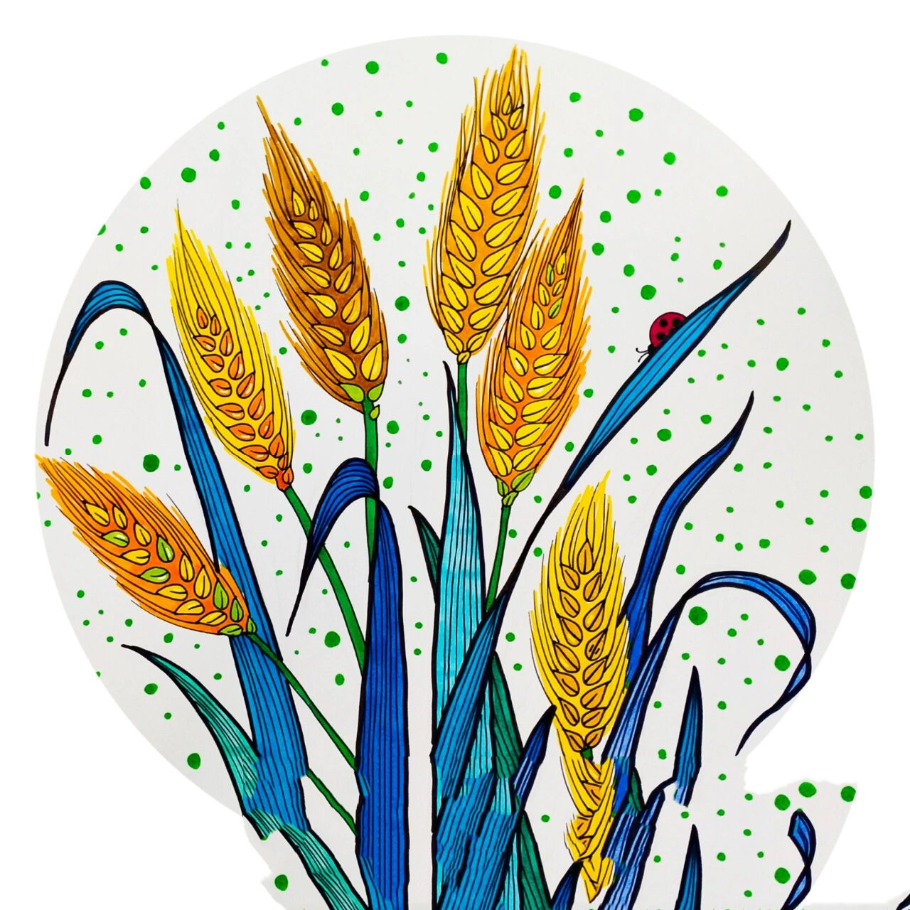 《粮食类》儿童画合集 玉米,棉花,芝麻,小麦有原创课件 水稻和大豆没