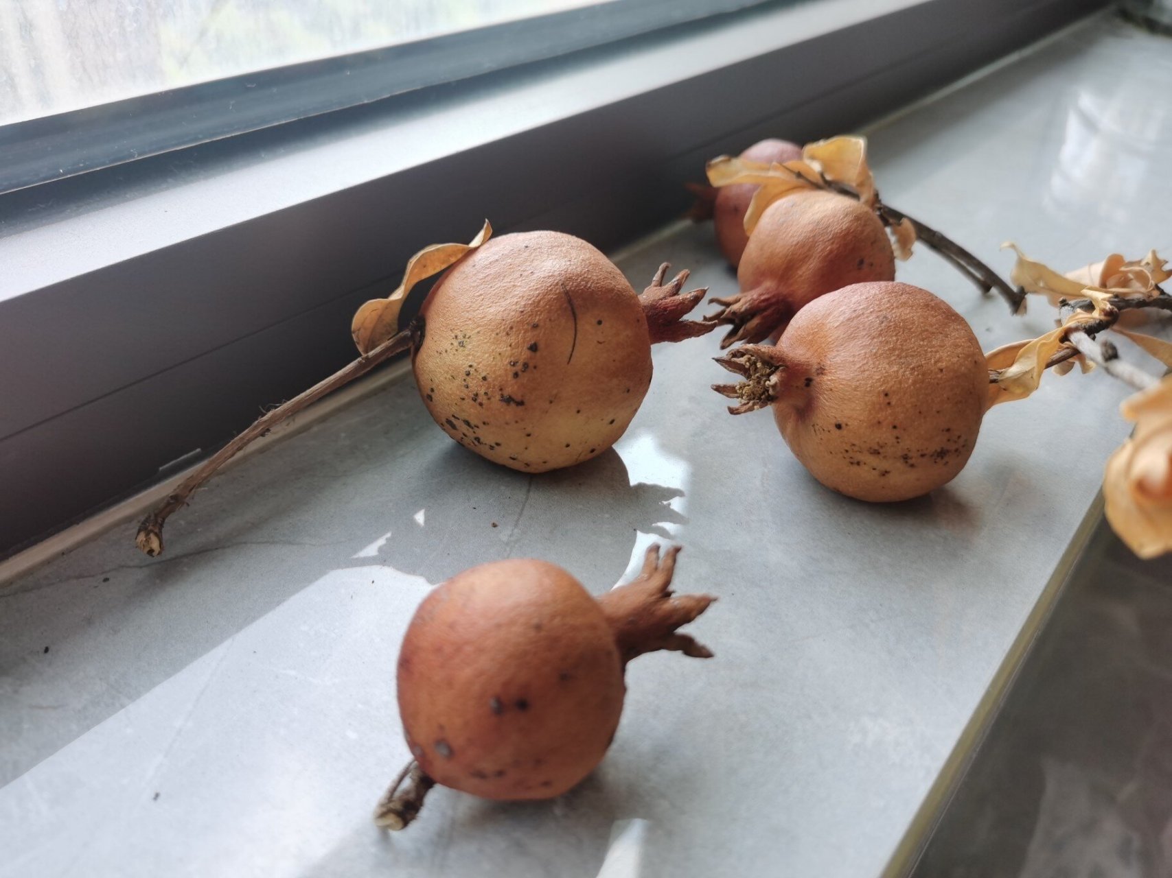 选果,选取皮色红润光滑的石榴,熟度不要太高,熟度越高糖分越高越容易