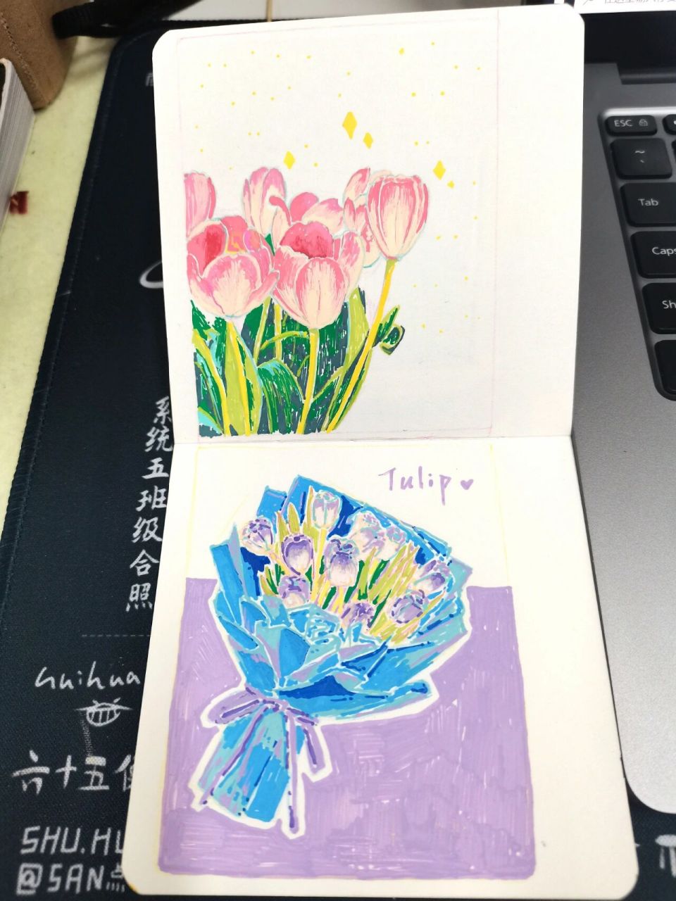 丙烯马克笔之郁金香(内含过程图)      我爱郁金香!