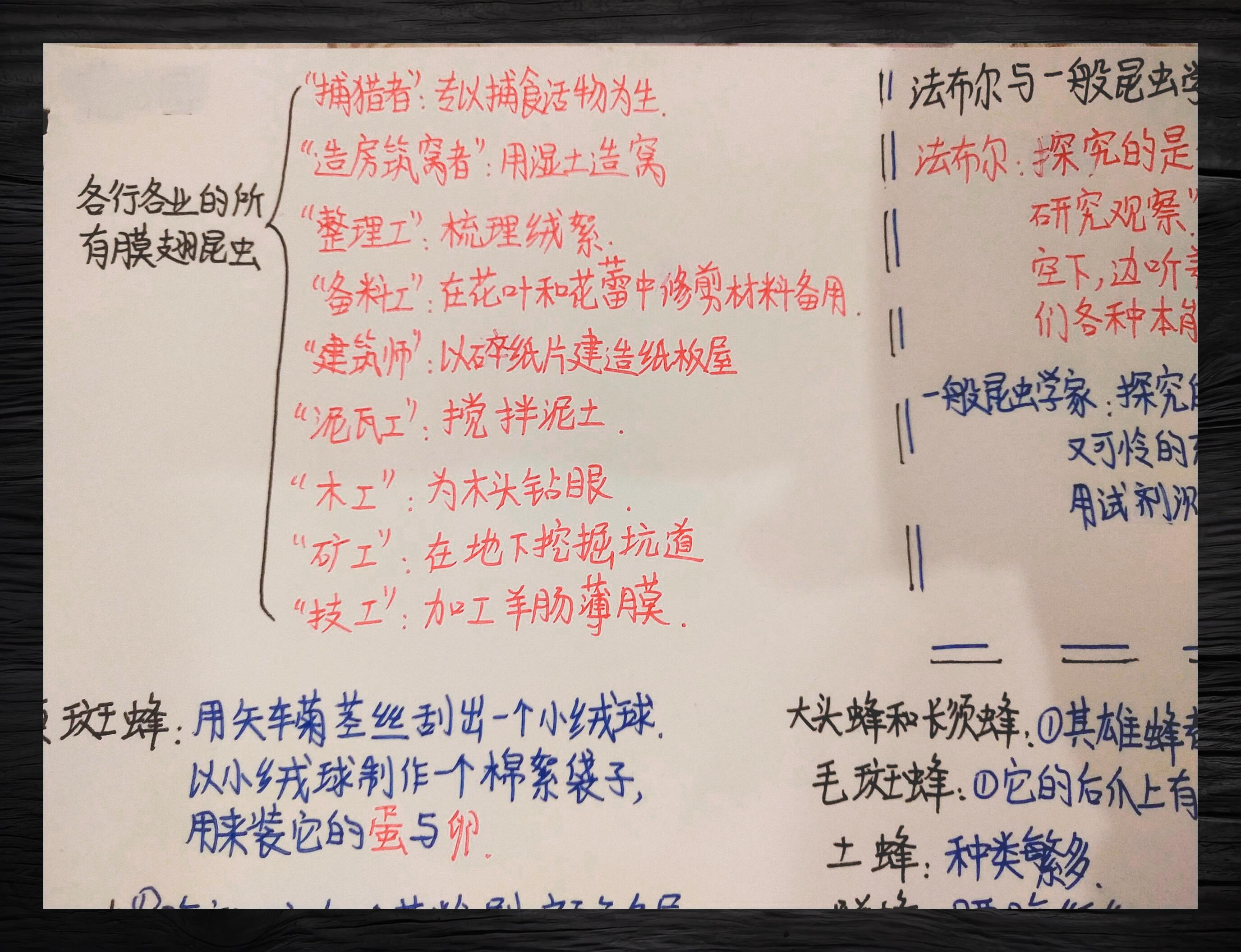 《昆虫记》 荒石园手记