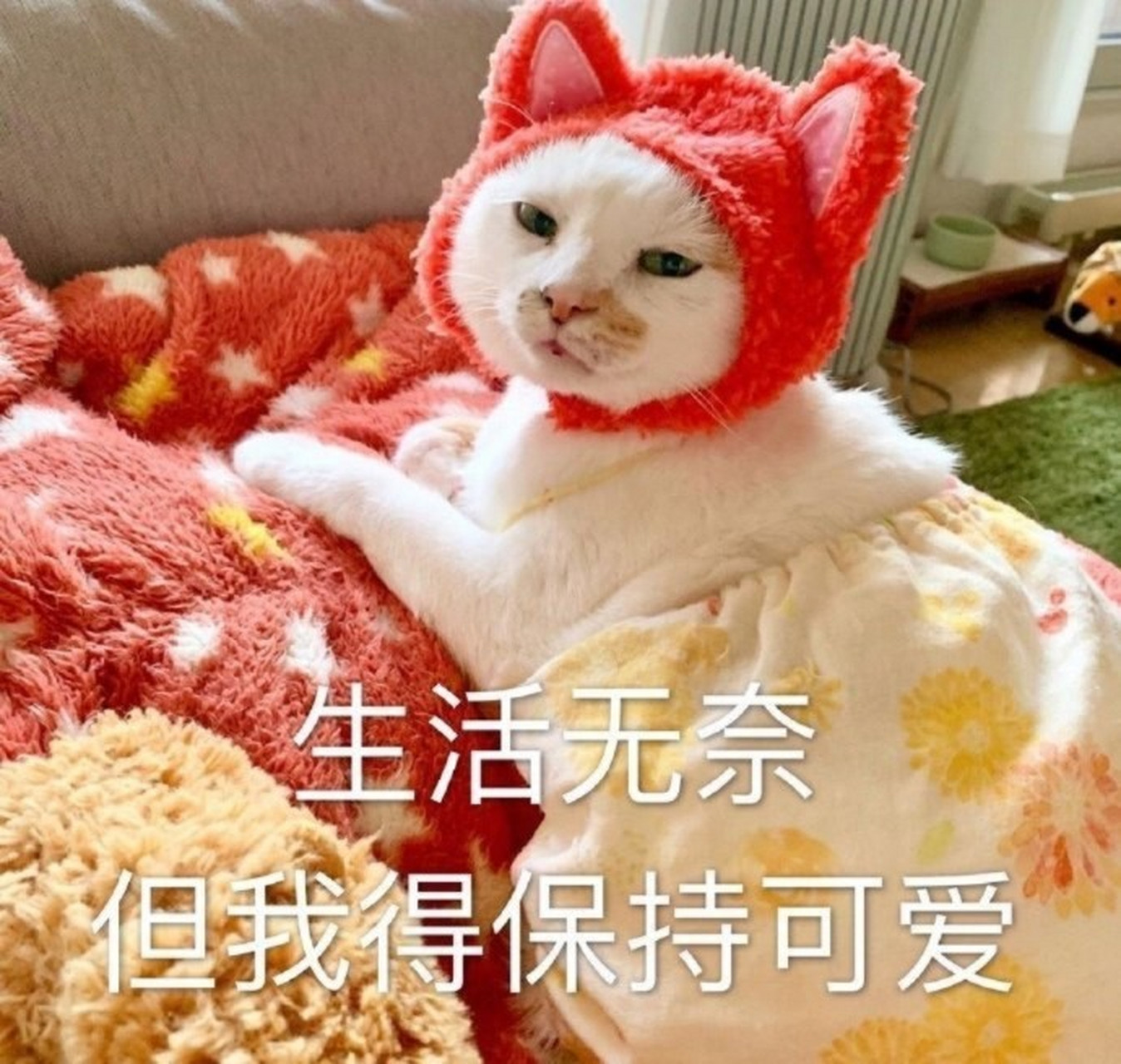 超级无奈表情包 生活无奈,但我得保持可爱