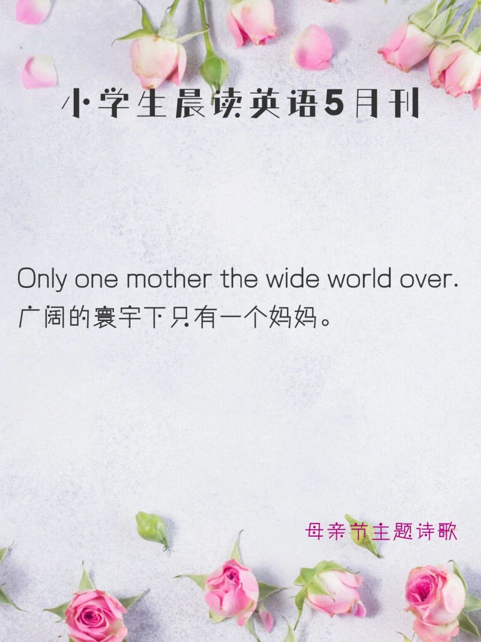 hundreds of stars in the silent sky, 美丽的天空星星成百上千