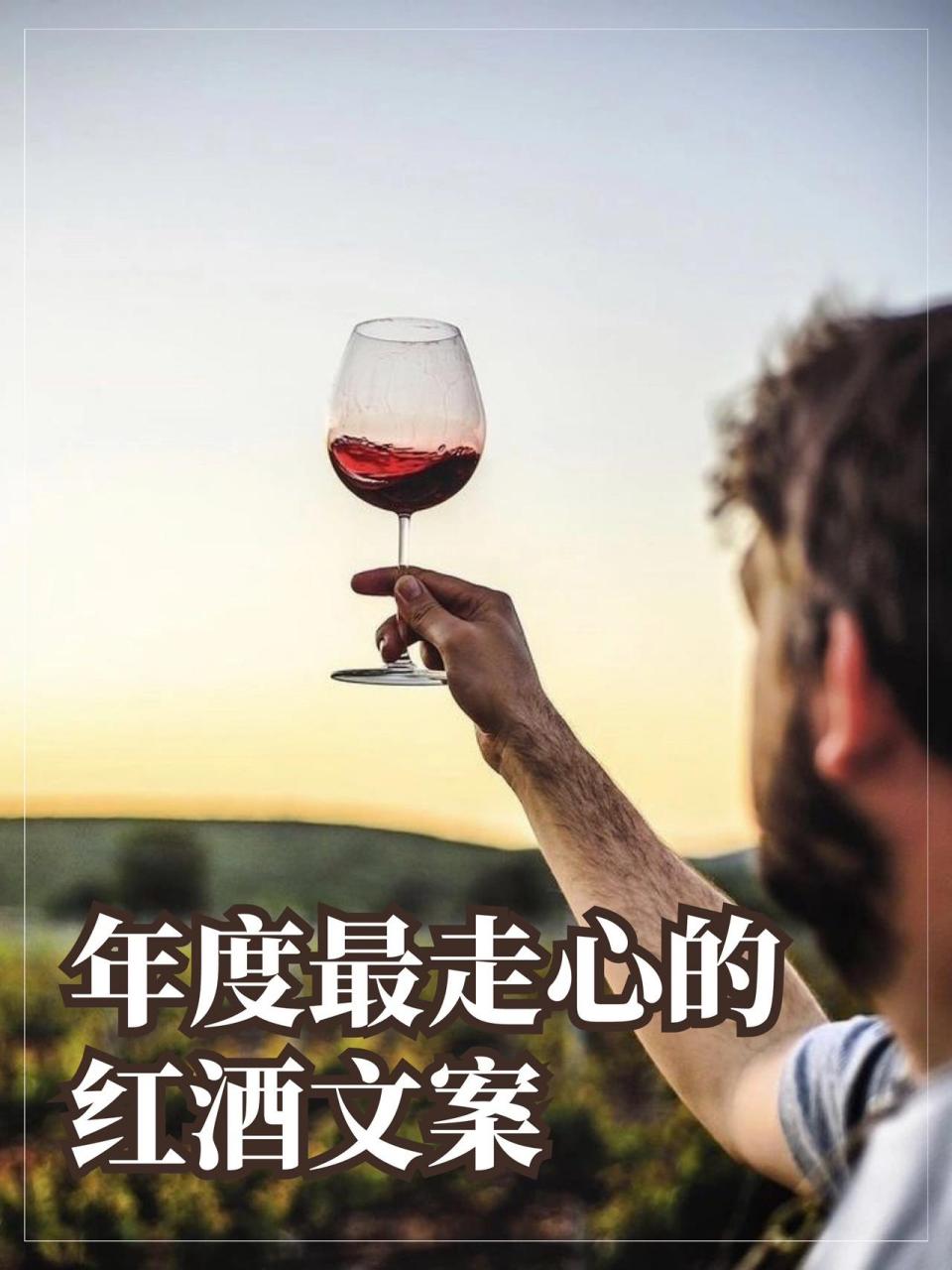 年度最走心的红酒文案(电子档留言评论) 97你无法渗透的人情世故,酒