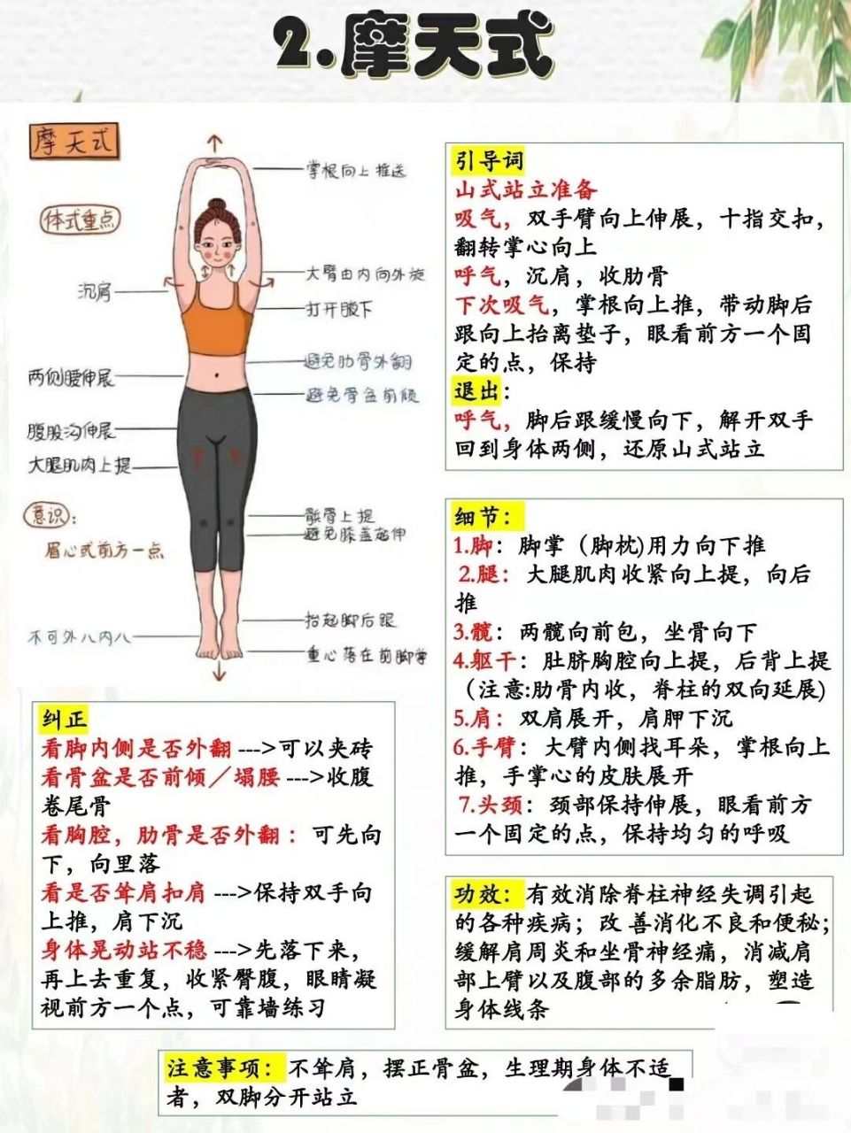 瑜伽教练教培笔记(2.