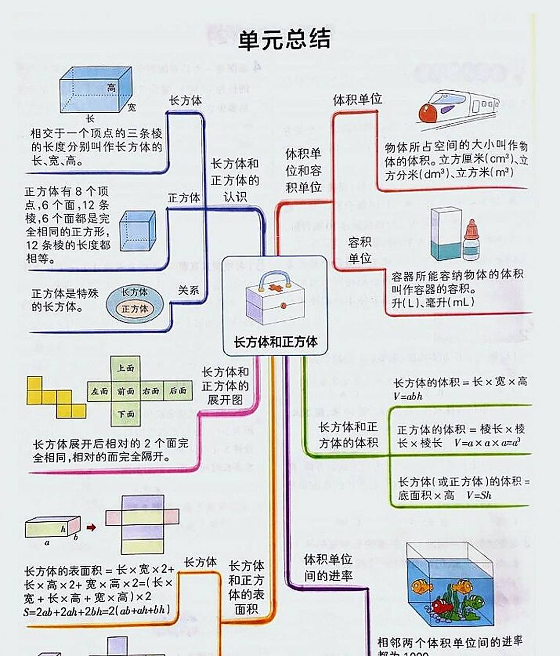 苏教版六年级数学上册思维导图 知识点分为以下知识点内容 991.