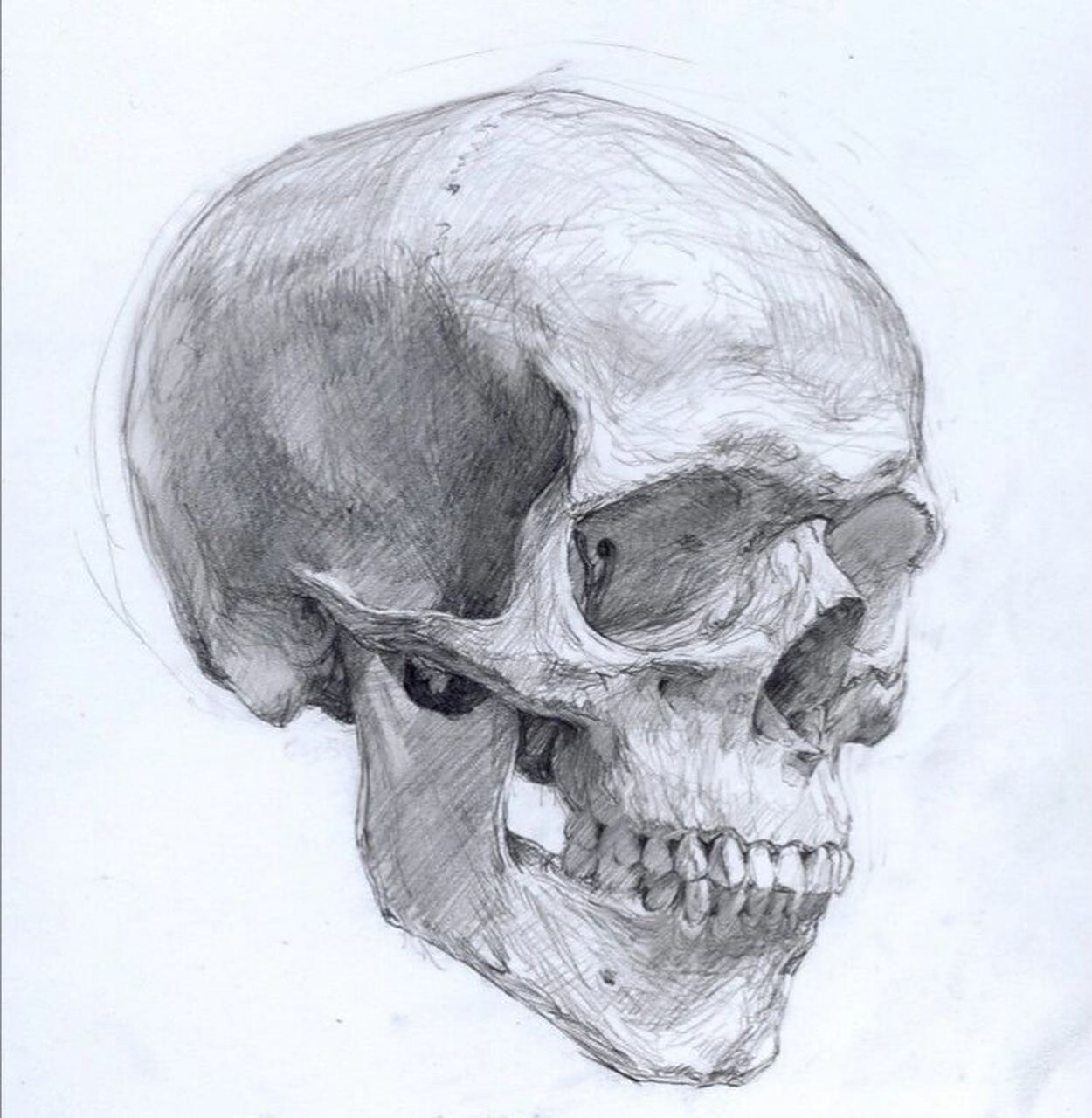 骷髅头 骷髅头素描