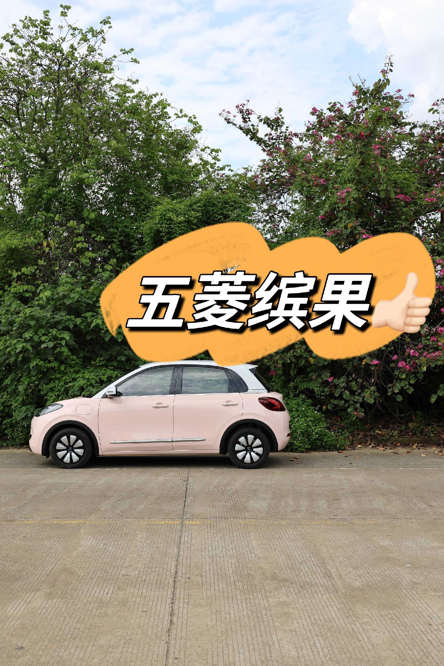 五菱缤果成功加入我家