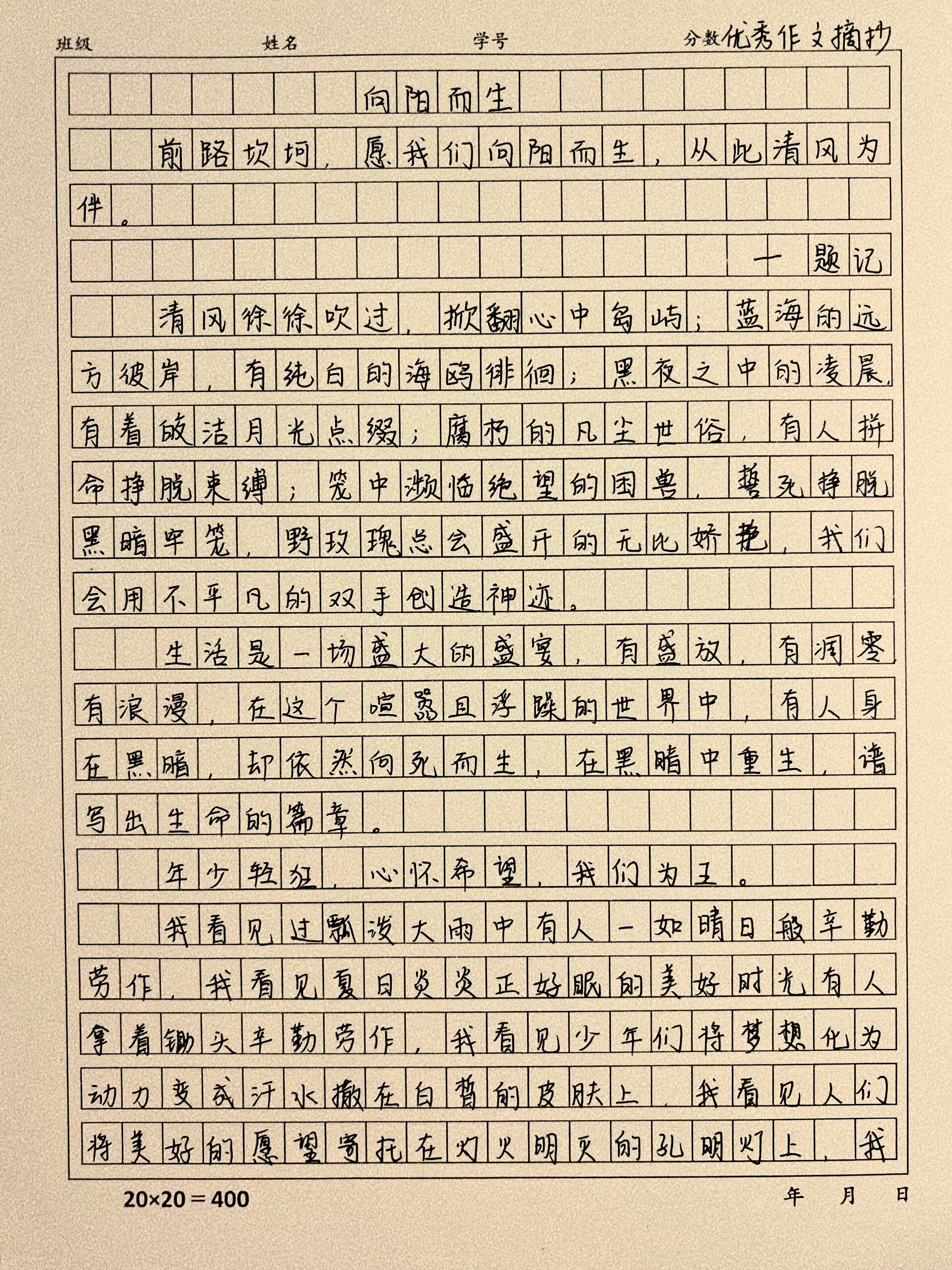 这篇作文好绝《向阳而生》