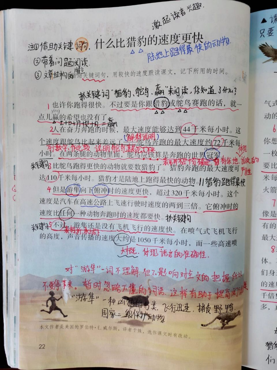 备课笔记 五年级上册《什么比猎豹的速度更快》详细备课笔记 手抄教案