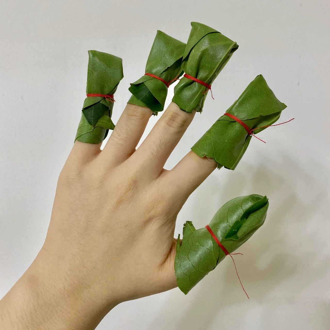 古法凤仙花染指甲9799 步骤16615凤仙花(指甲花)加明矾捣烂.