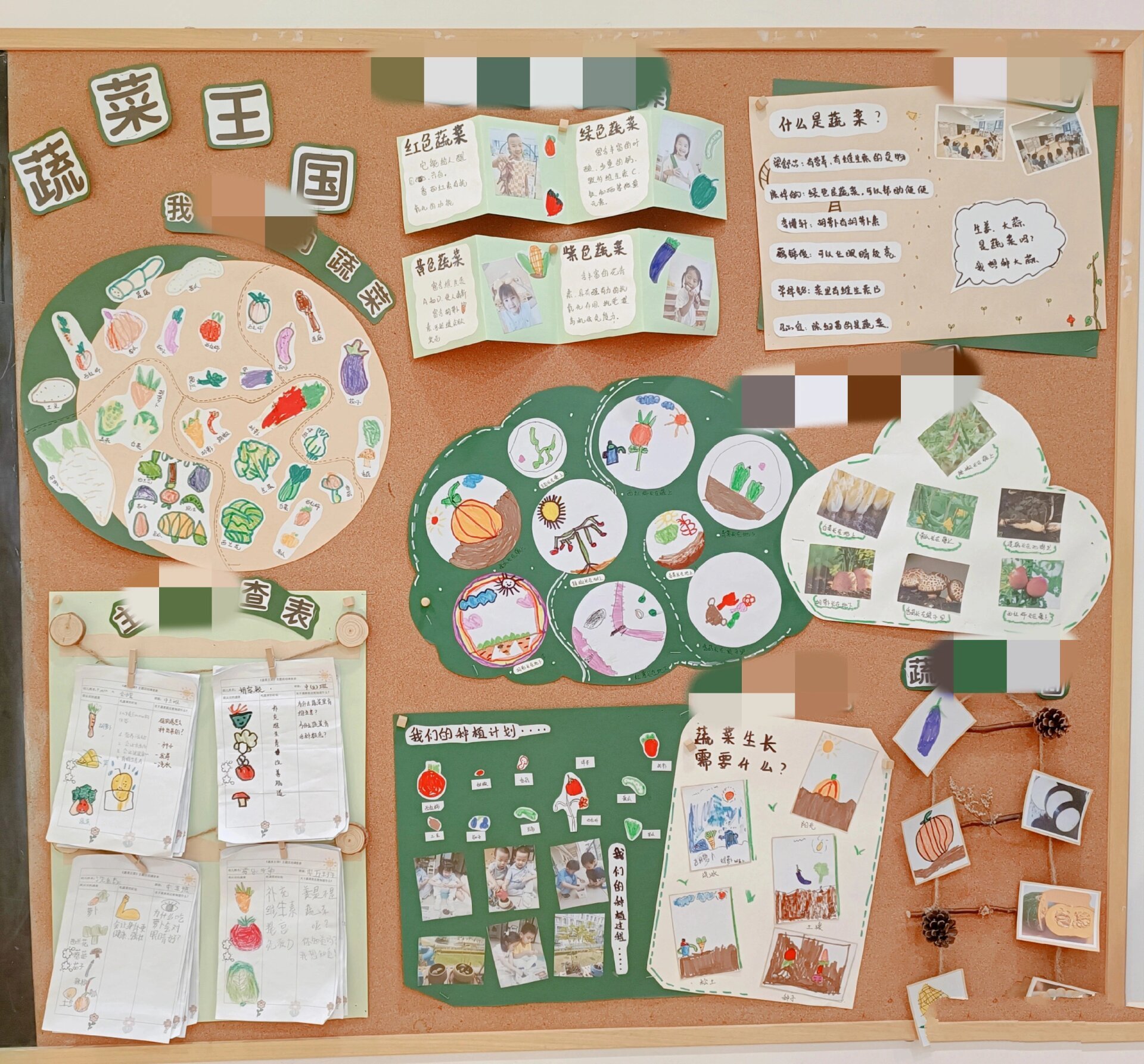 幼儿园主题环创《蔬菜》中班主题墙环境