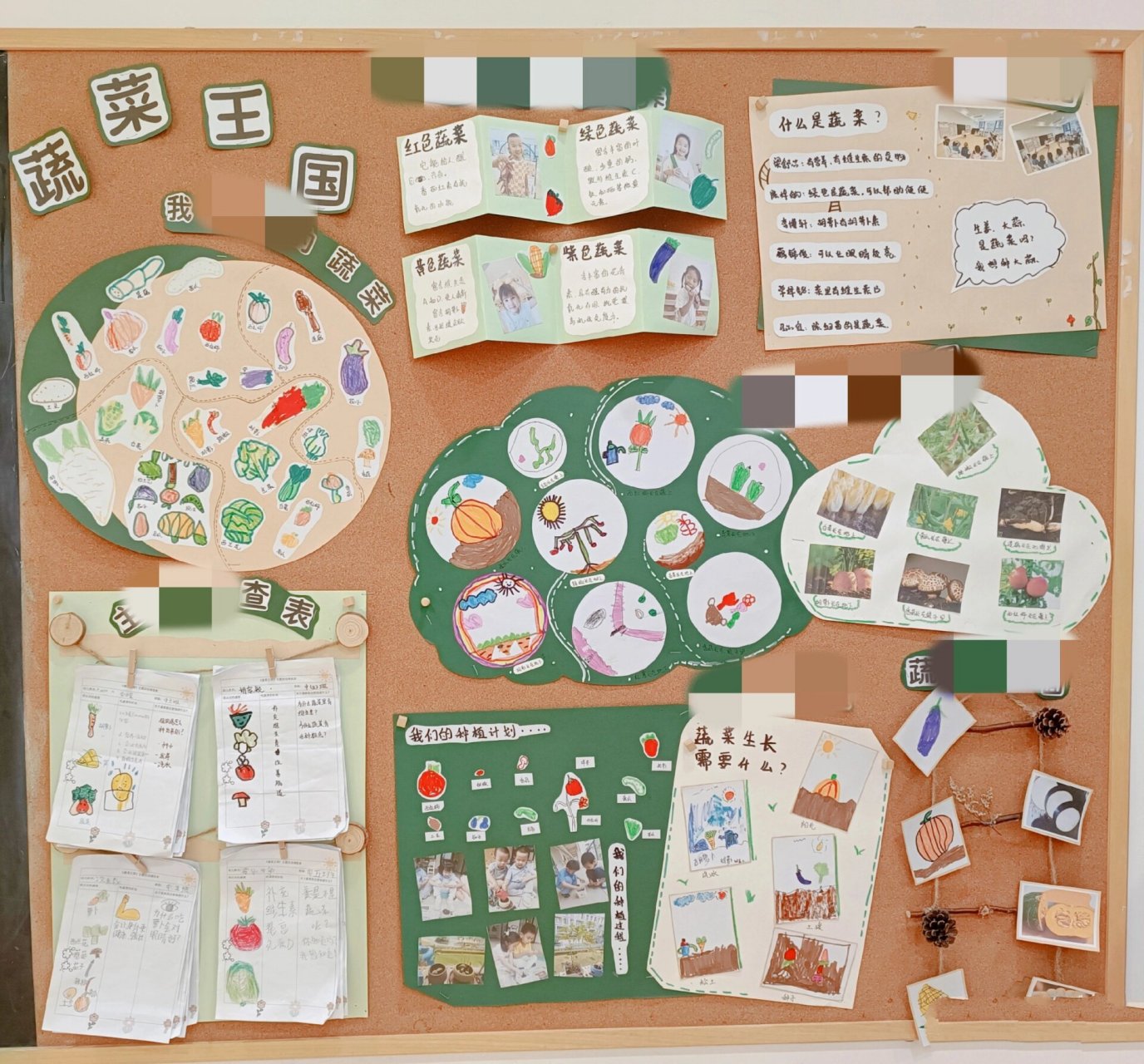 幼儿园主题环创《蔬菜》中班主题墙环境      幼儿园中班主题环创